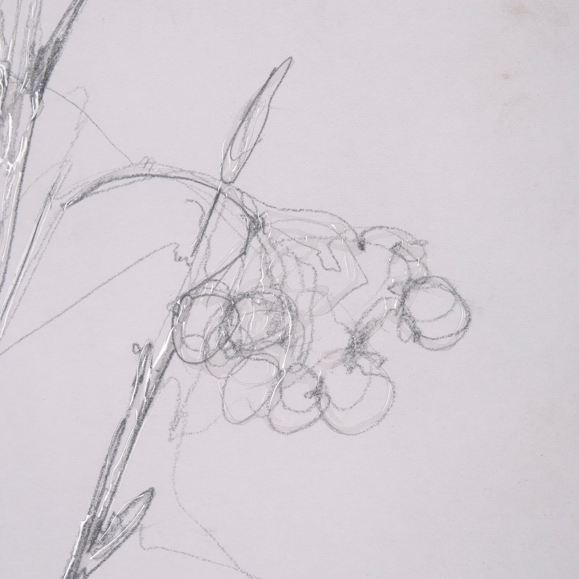 Chokecherry 2 by Mercana Studio a Hand Embellished Framed Art Print Matted under Glass — product photograph