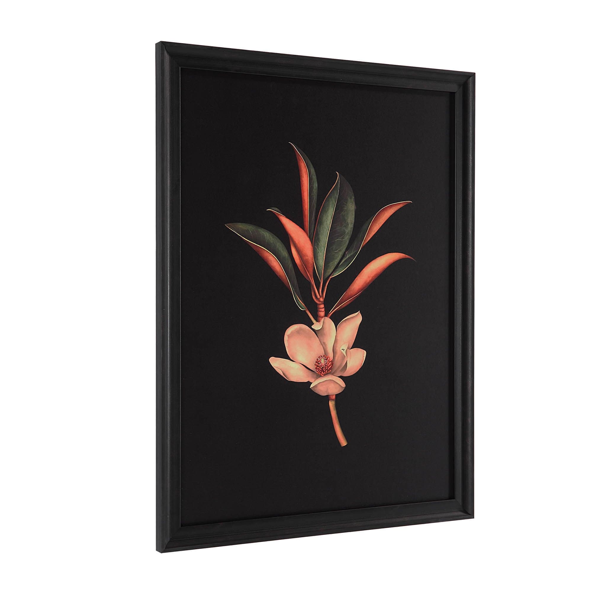 Wallflower — product photograph