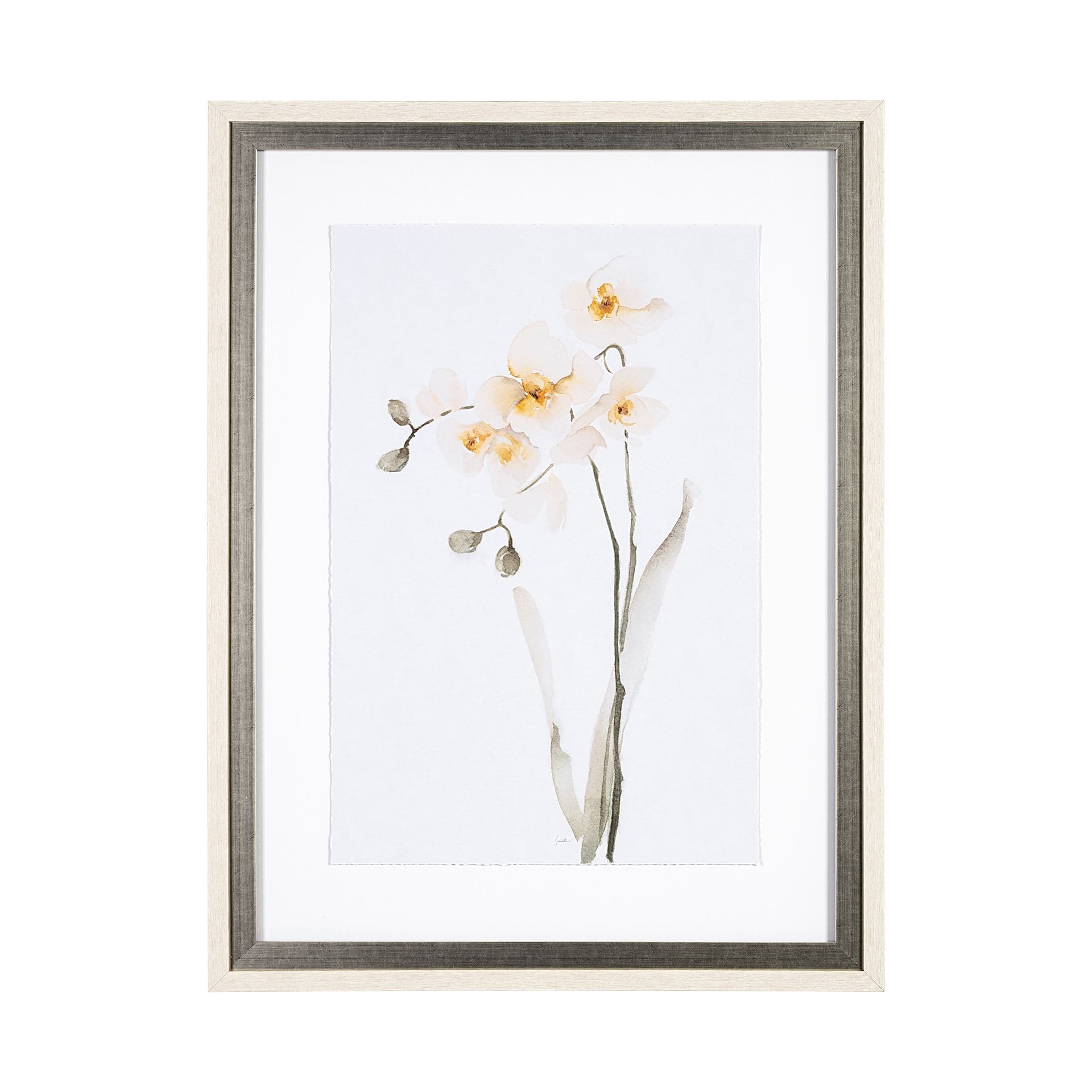 Orchid II by Gabrielle Campbell a Framed Art Print Matted under Glass — product photograph
