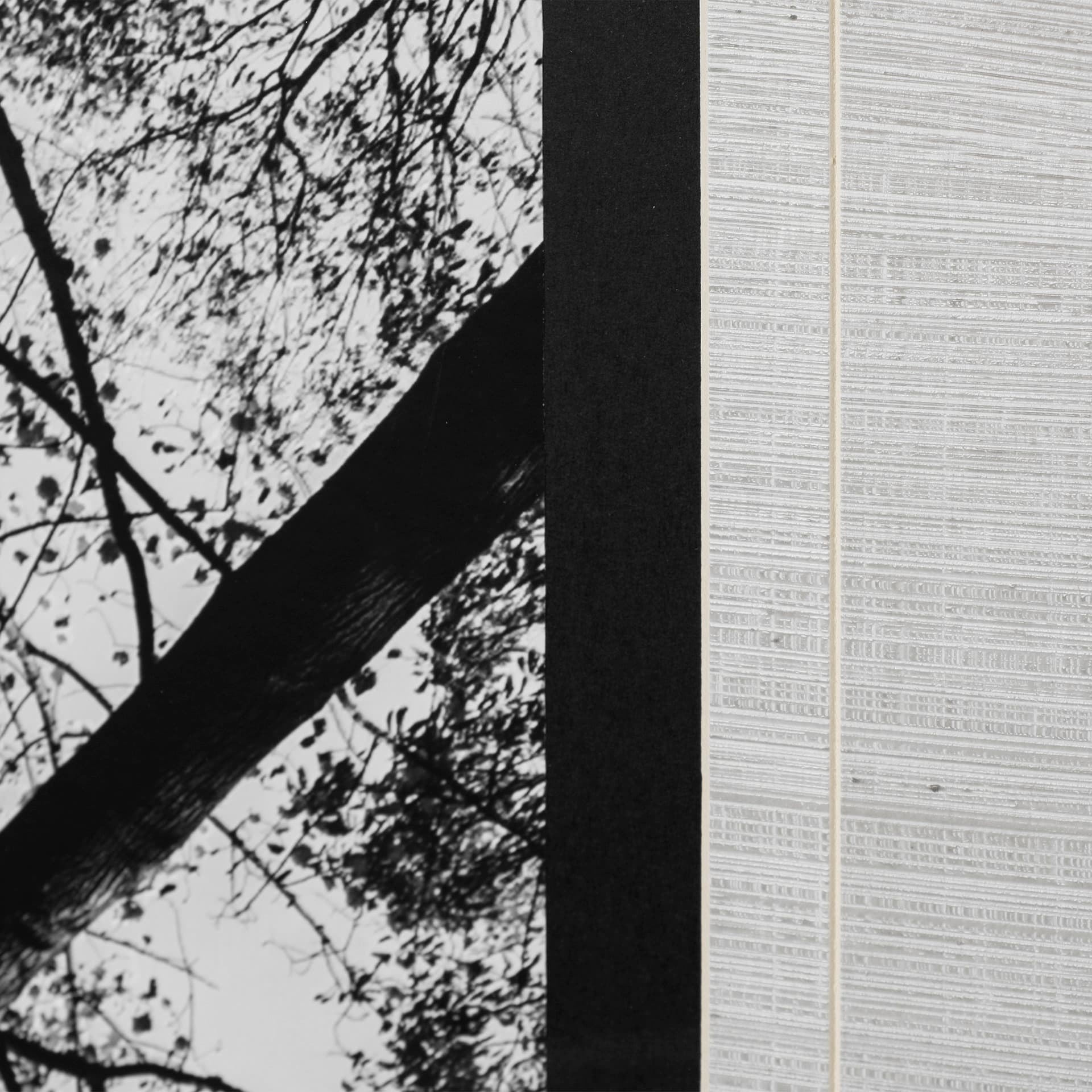 Looking Up I BW by Mercana Studio a Hand Embellished Textured Framed Photo Art Print Matted under Gl — product photograph