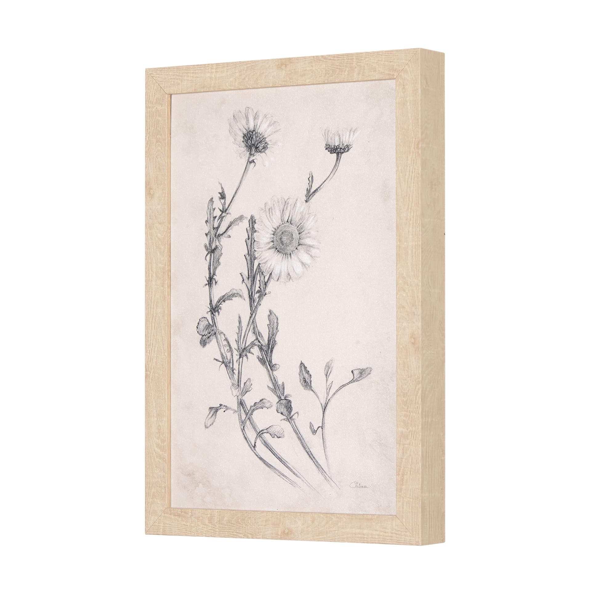Chamomile Drawing I by Mercana Studio a Hand Embellished Textured Framed Art Print — product photograph