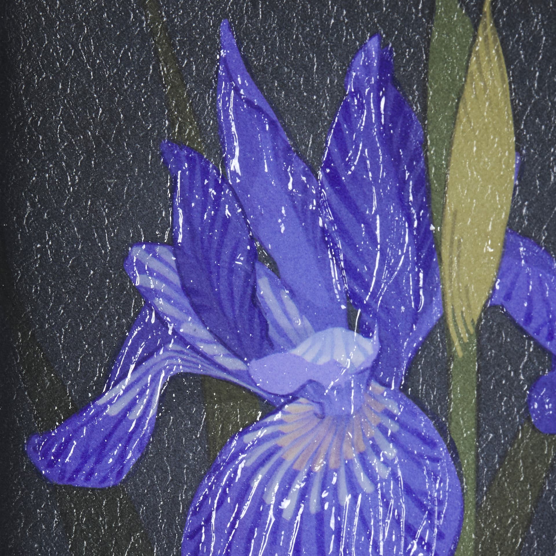 Flower Portrait IV by Mercana Studio a Hand Embellished Textured Framed Art Print Matted under Glass — product photograph