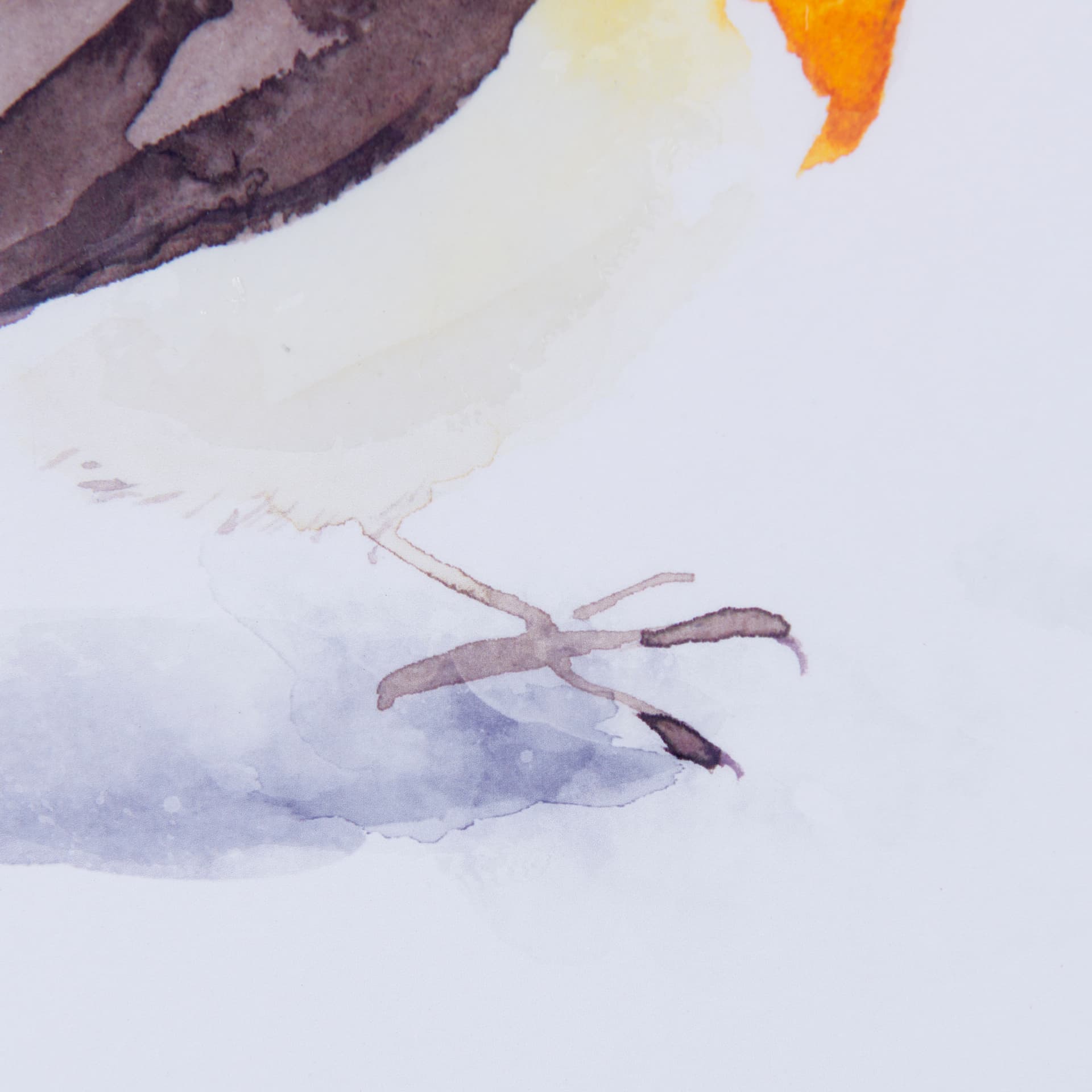 Robin II by Mercana Studio a Hand Embellished Textured Framed Art Print Matted under Glass — product photograph