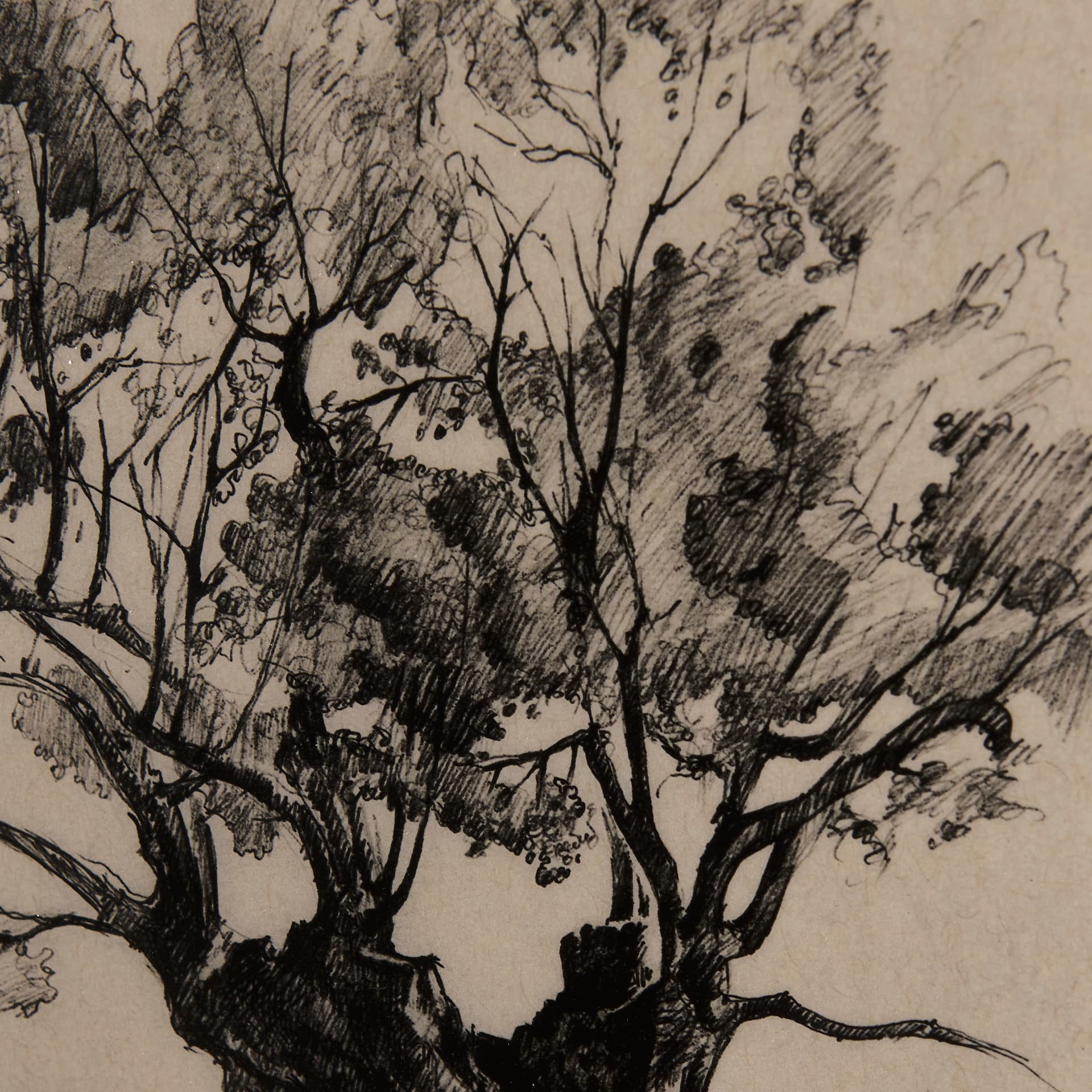 Tree Drawing I by Mercana Studio a Hand Embellished Textured Framed Art Print Matted under Glass — product photograph