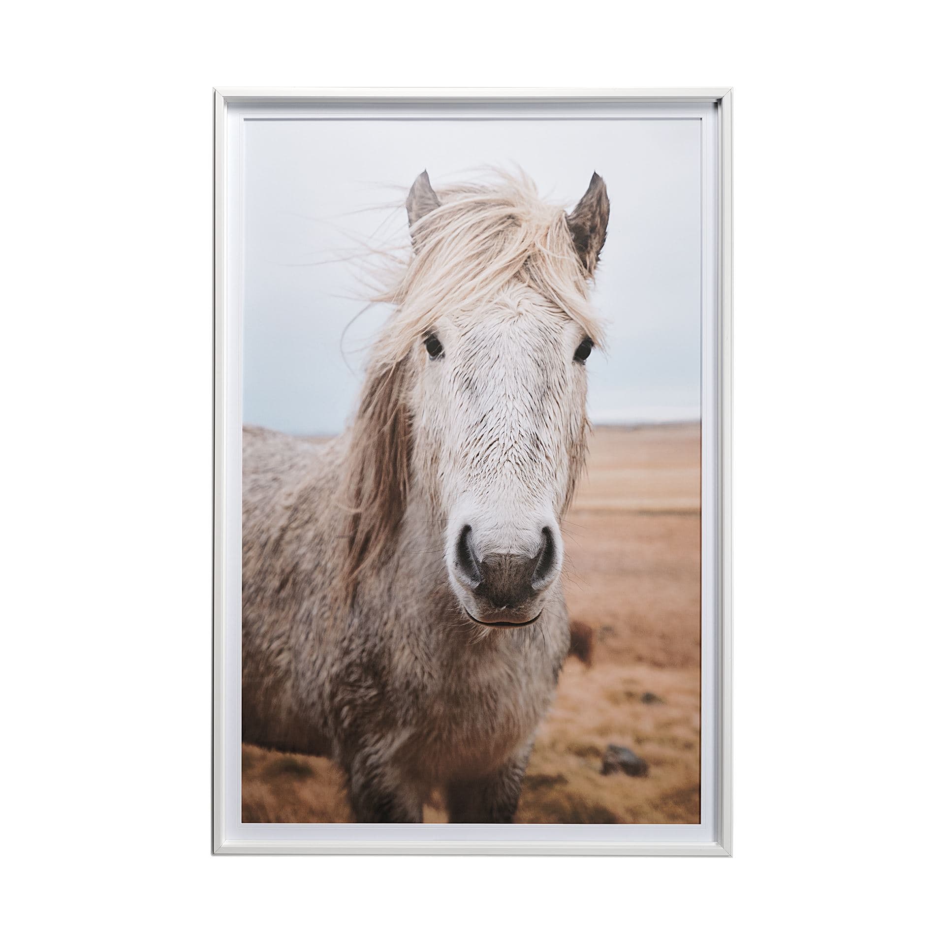 49822 Heida I by Laura Marshall a Framed Photo Art Print Matted under Glass — product photograph