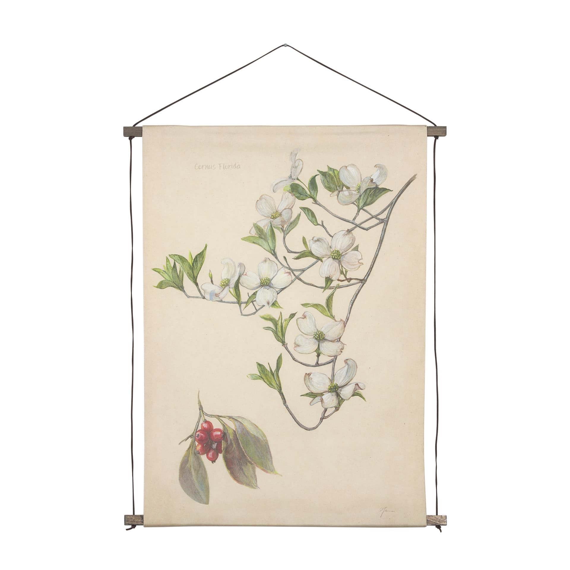 Botanical Study-Cornus Florida by Mercana Studio a Hand Embelished Textured Framed Art Print — product photograph