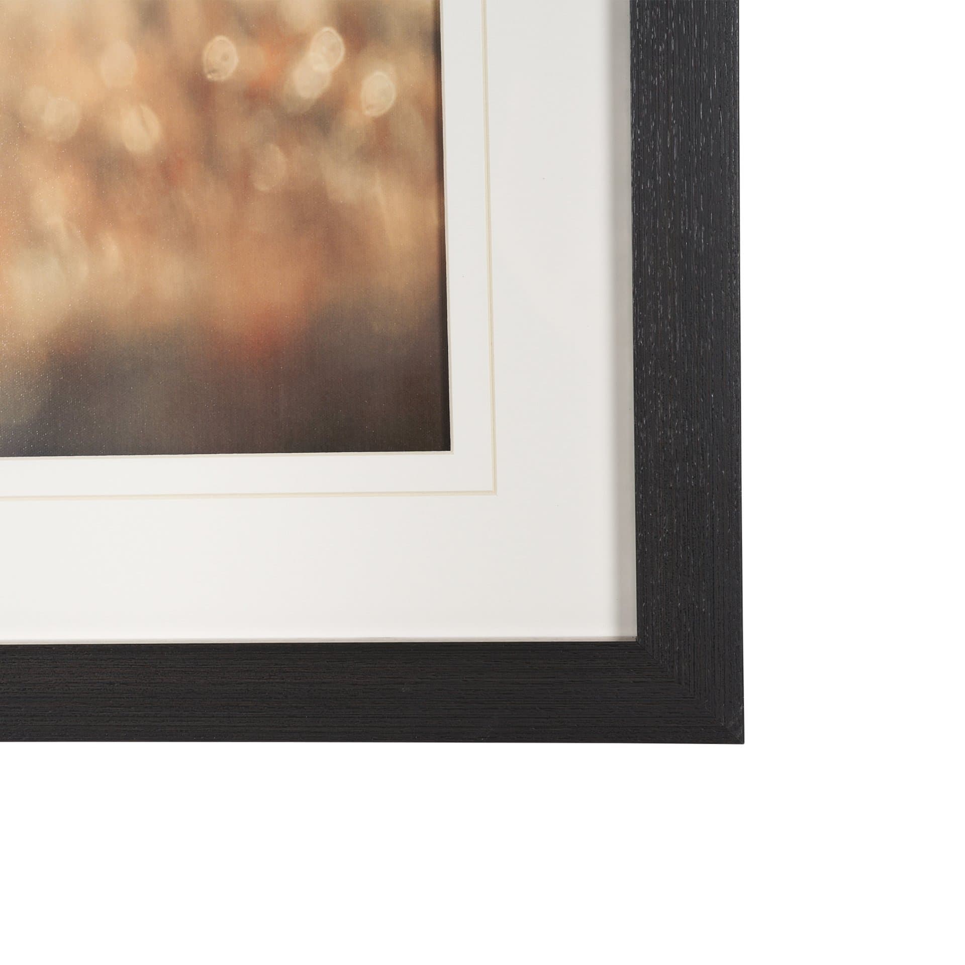 Distant Duo by Andreas Stridsberg Framed Photo Print Matted under Glass — product photograph