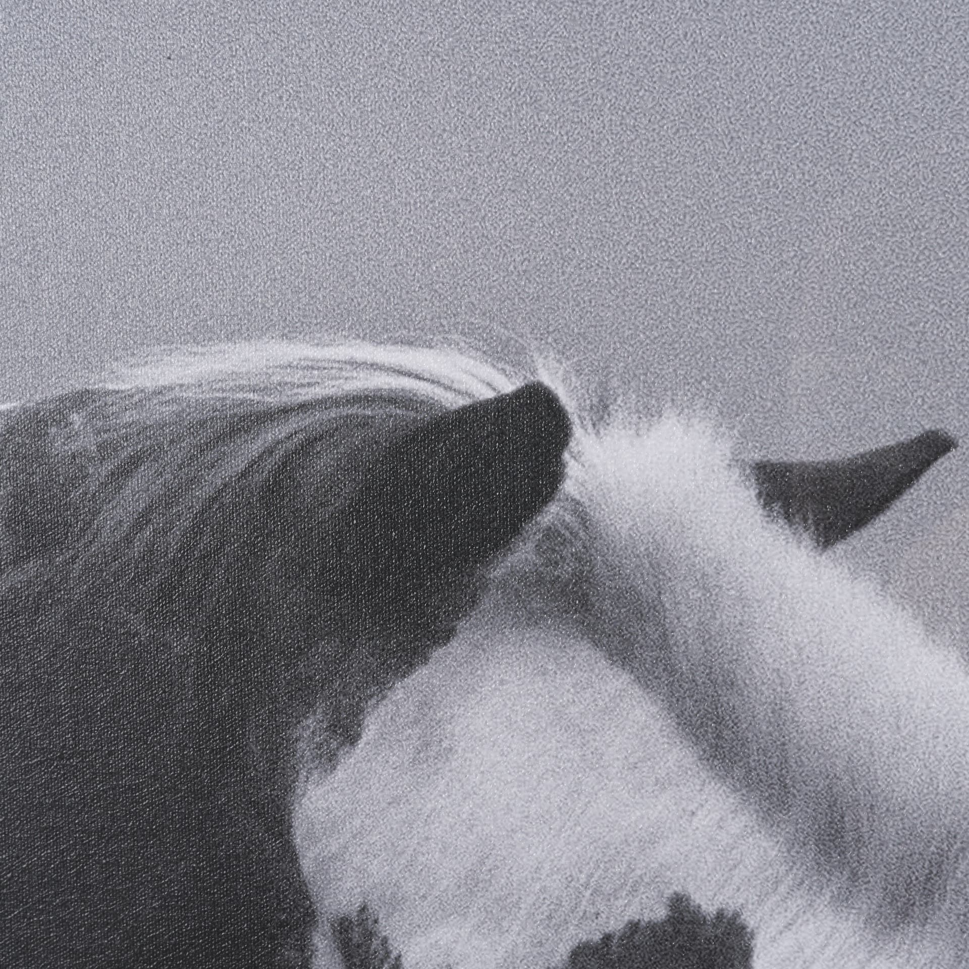 Horse Harmony - Nuzzle by Laura Warren a Hand Embellished Framed Photo Art Print Matted under Glass — product photograph