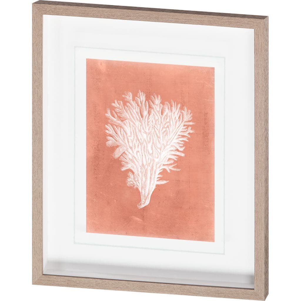 Sealife on Coral II by Vision Studio a Hand Embellished Textured Framed Art Print Matted under Glass — product photograph