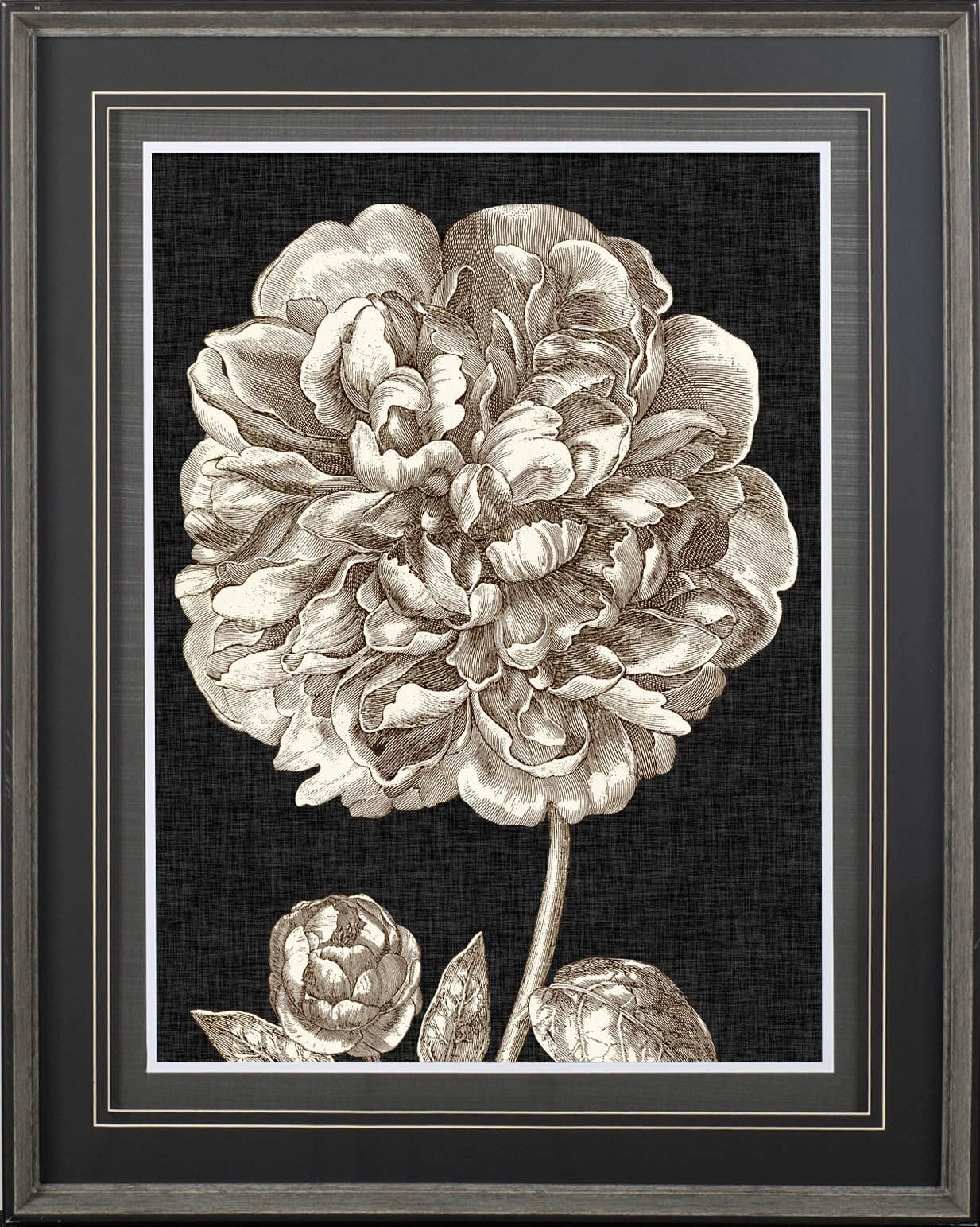 Dramatic Peony II by Vision Studio a Hand Embellished Textured Framed Art Print Matted under Glass — product photograph
