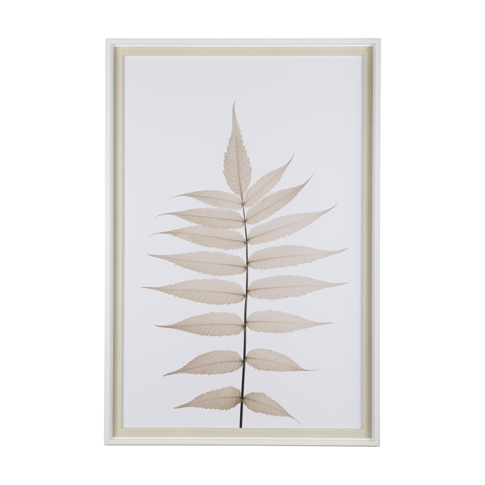 Lithe Leaves by Assaf Frank a Framed Art Print Matted under Glass — product photograph