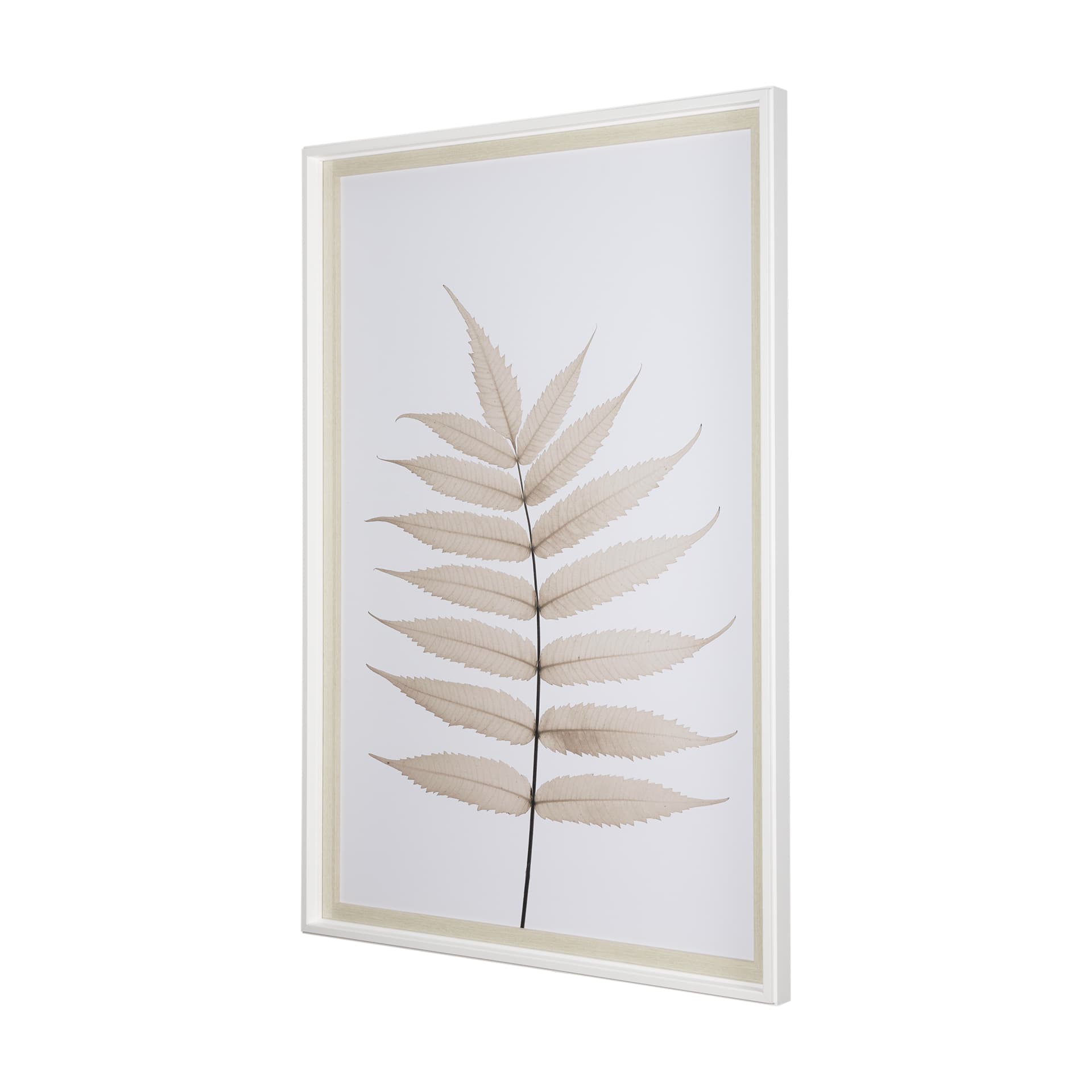 Limber Leaves by Assaf Frank a Framed Art Print Matted under Glass — product photograph