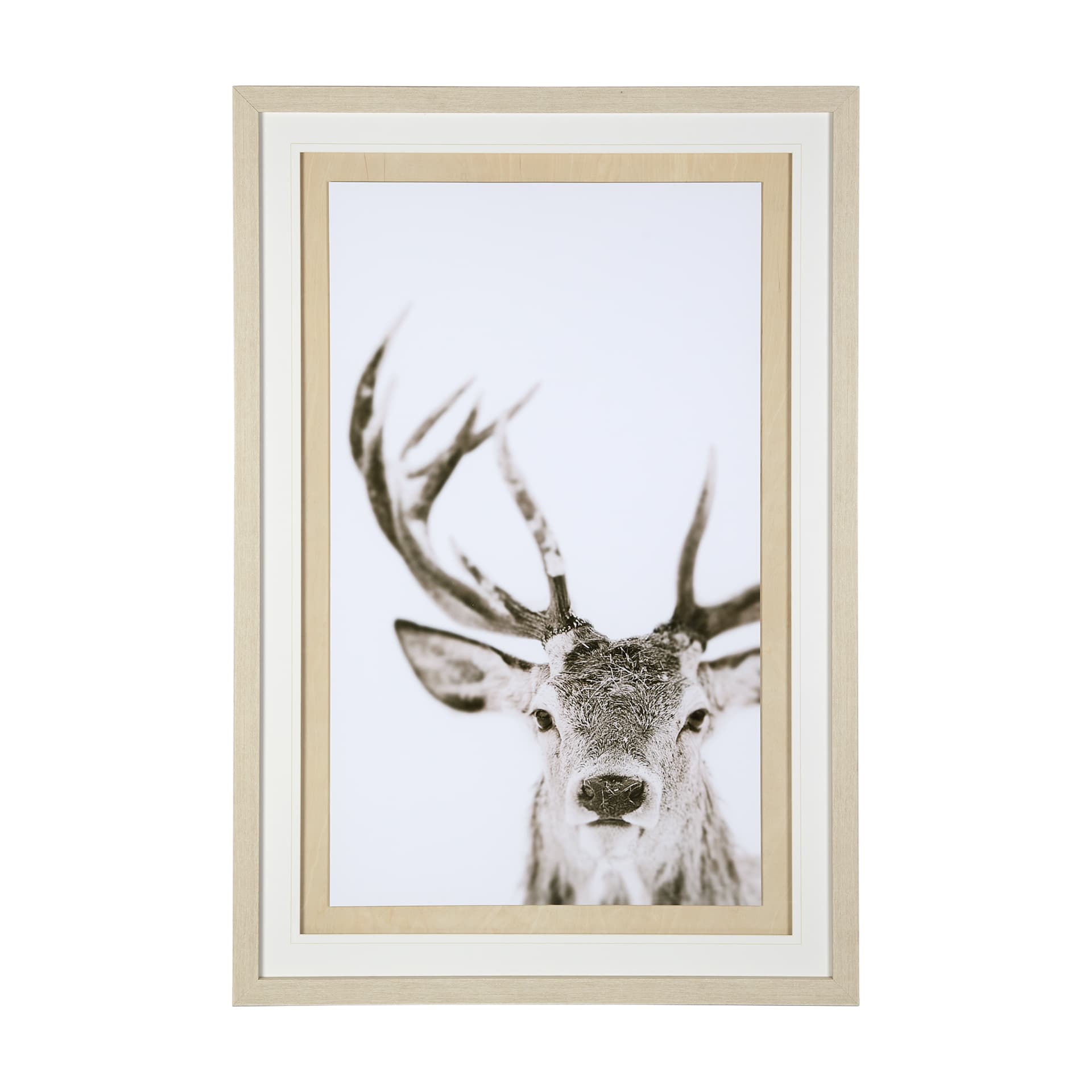 Ciervo 1 by THE Studio a Framed Photo Art Print Matted under Glass — product photograph