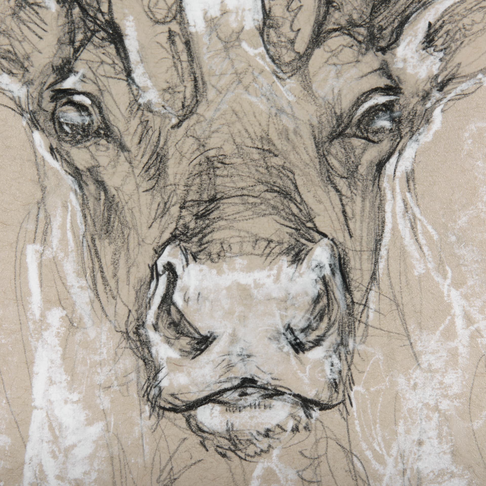 Sketch of animal II (Caribou) by Mercana Studio Hand Embellished Framed Art Print Matted under Glass — product photograph