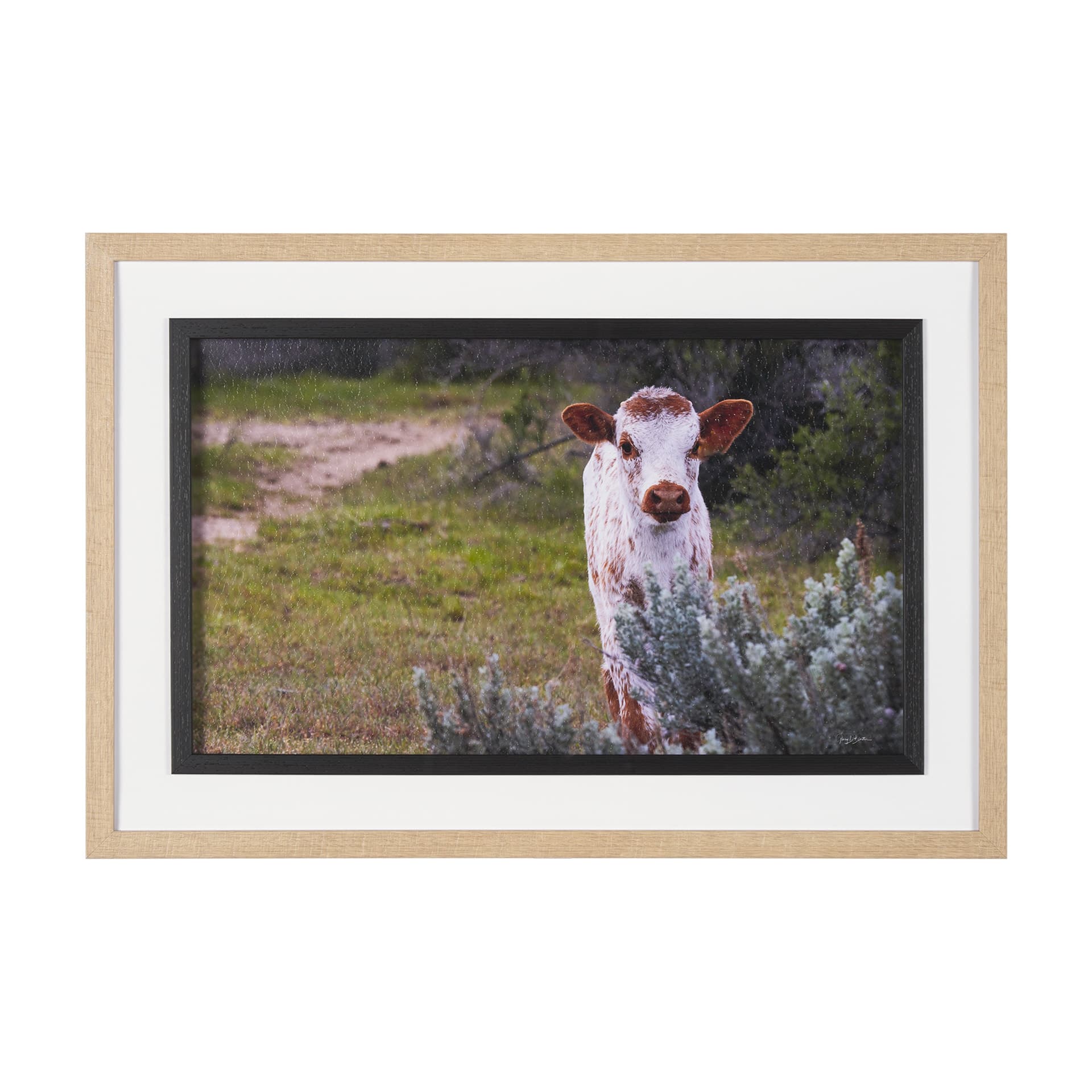 Longhorn 7 by Gary Blatter a Hand Embellished Framed Photo Art Print Matted under Glass — product photograph