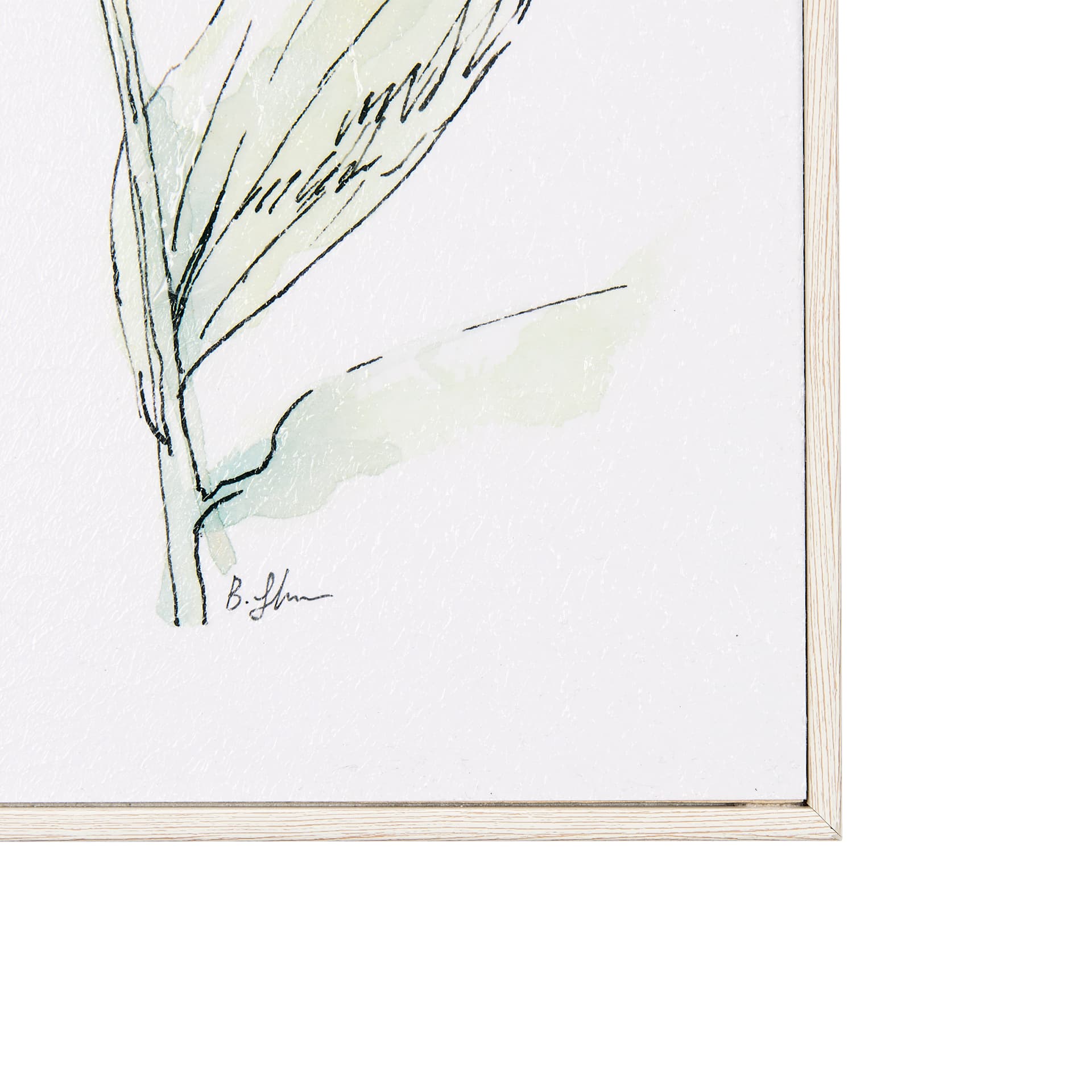 Echinacea I by Mercana Studio a Hand Embellished Textured Framed Art Print — product photograph