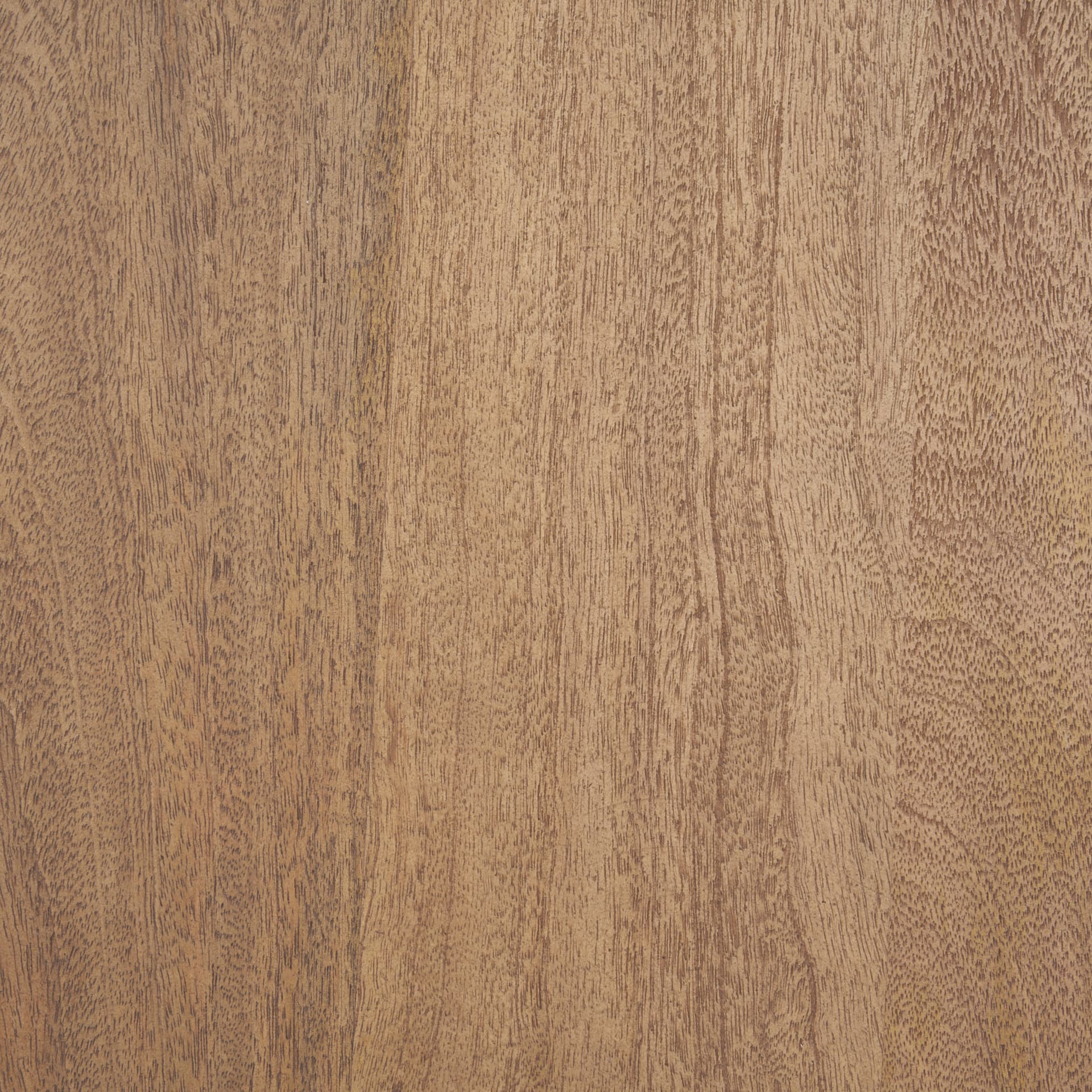 Welborn 72"L x 40"W Rectangular Dining Table | Modern | Light Brown Wood | Seats 6 — product photograph