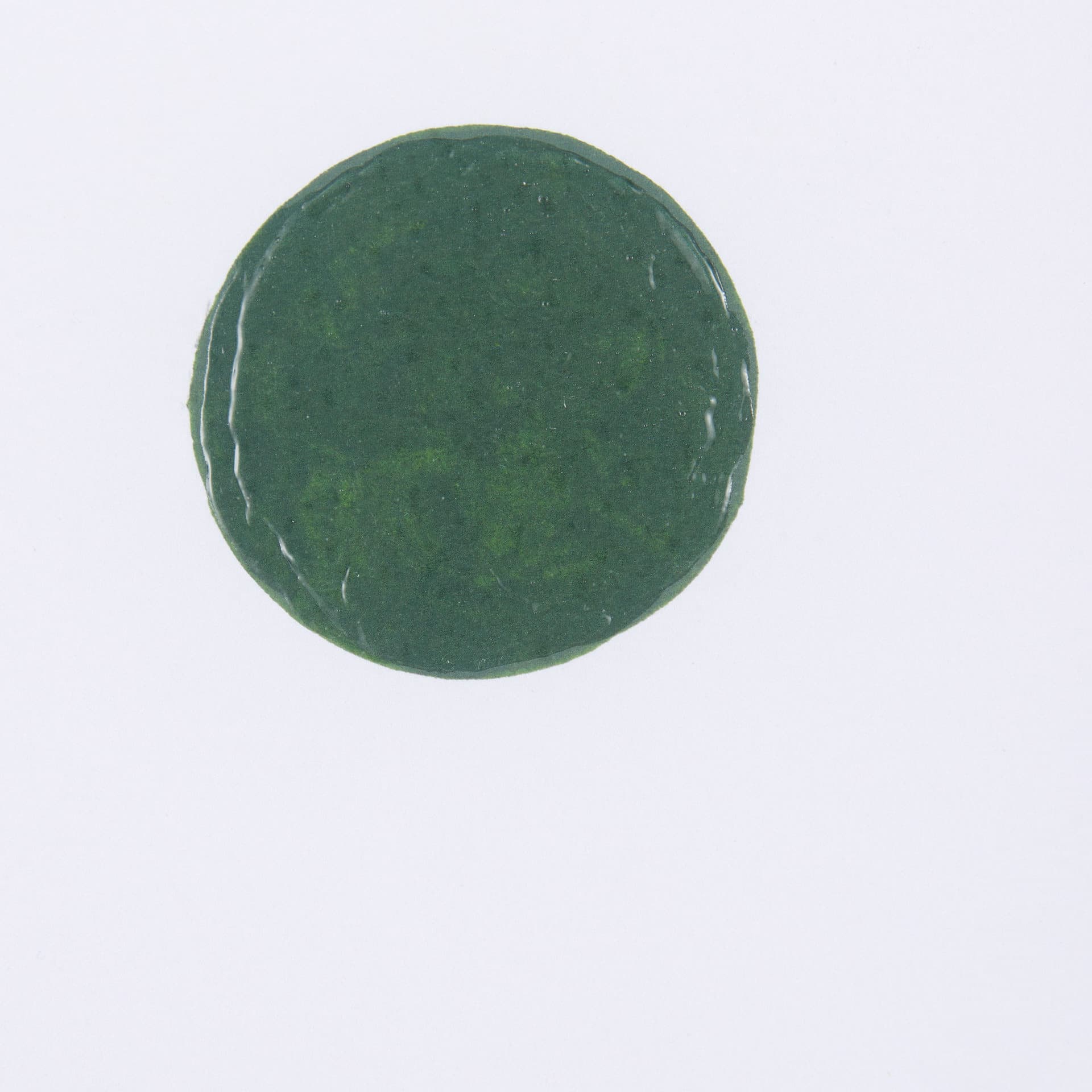 Green Desert II by Mercana Studio a Hand Embelished Textured Framed Art Print Matted under Glass — product photograph