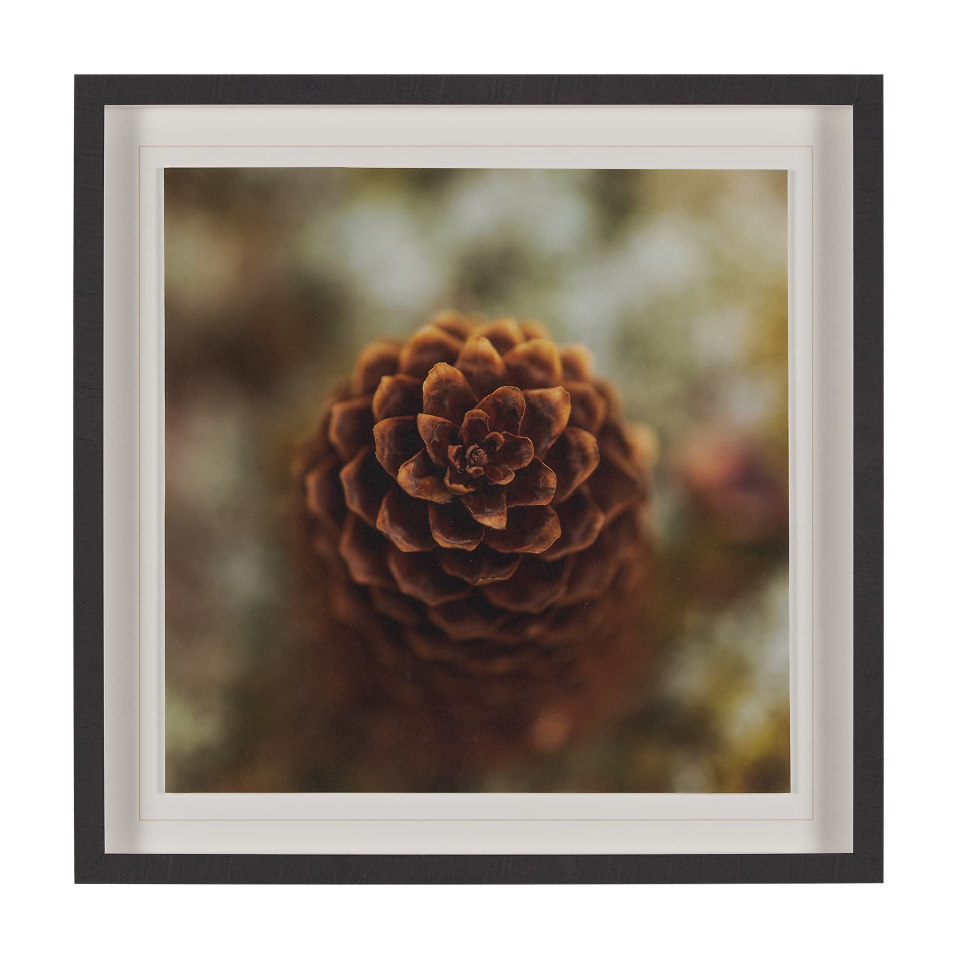 Down to Earth by Stig Kalvelid a Hand Embellished Framed Photo Art Print Matted under Glass — product photograph