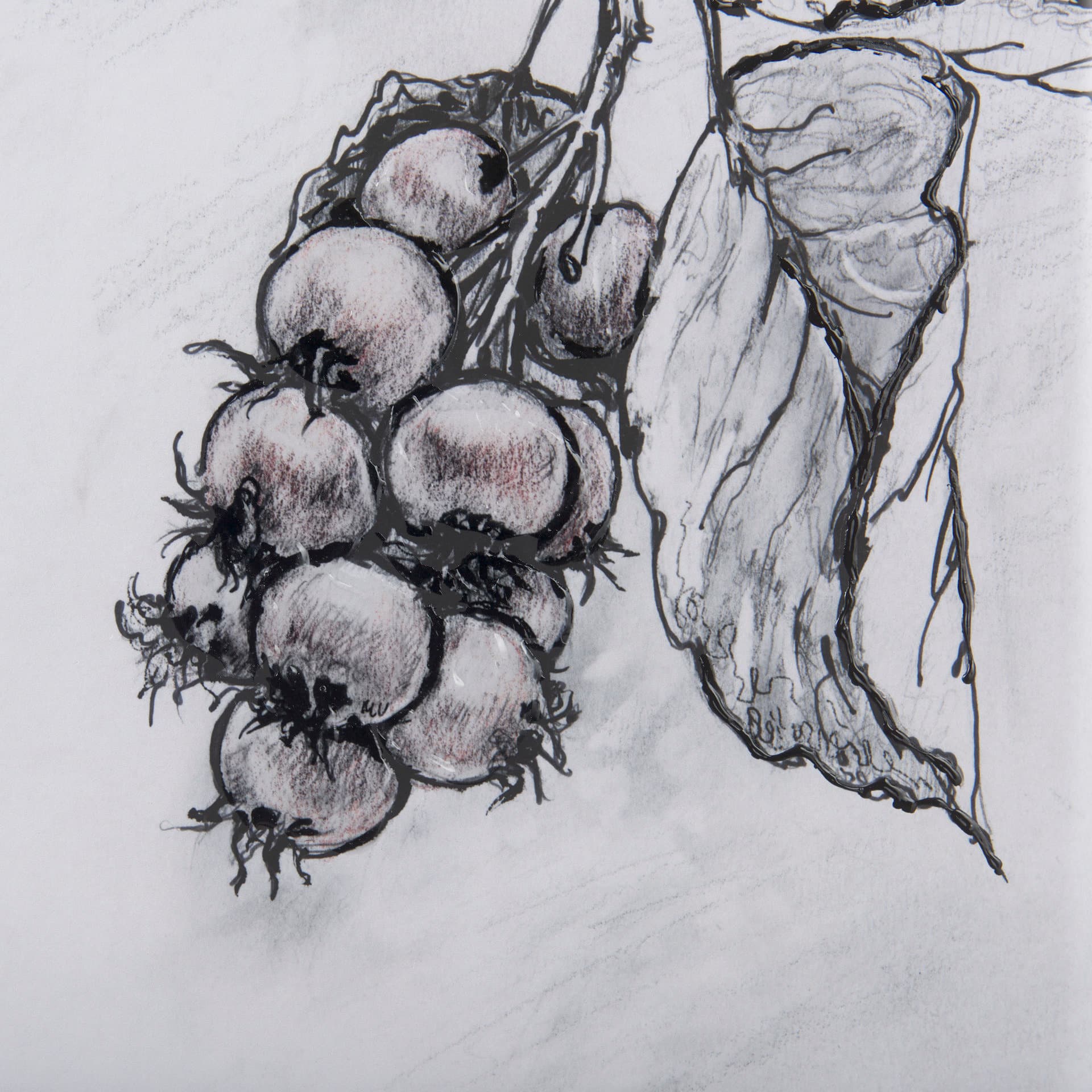 Saskatoonberry by Mercana Studio Hand Embellished Framed Art Print Matted under Glass — product photograph