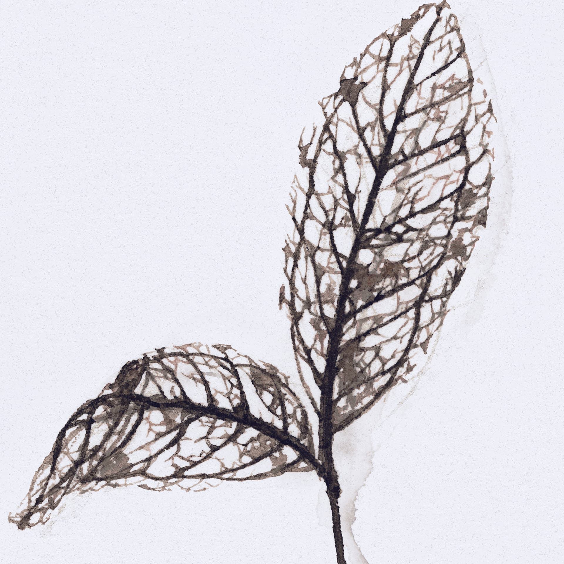 Olive Branch II by Gabrielle a Framed Art Print Matted under Glass — product photograph