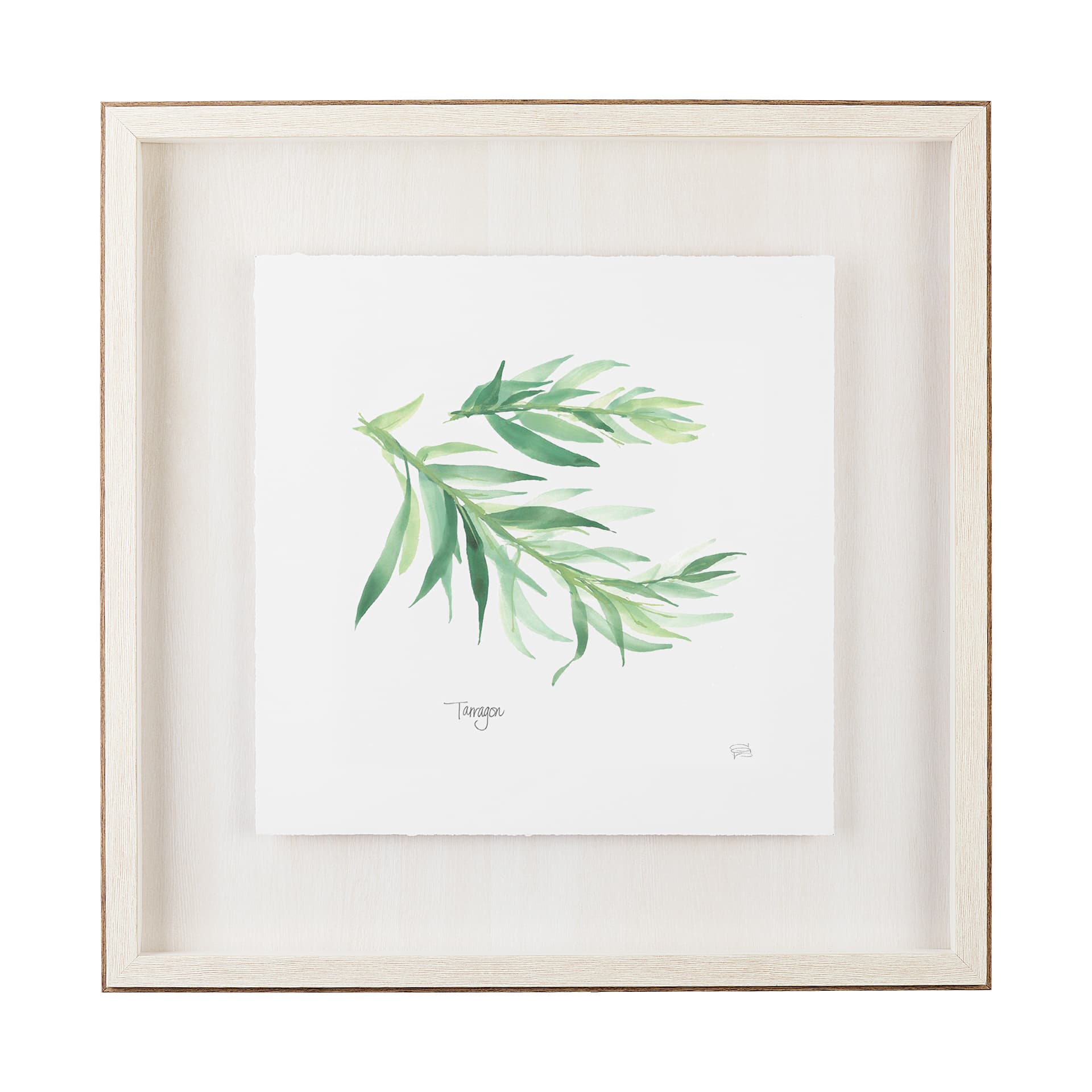 Tarragon v2 by Chris Paschke a Framed Art Print Matted under Glass — product photograph