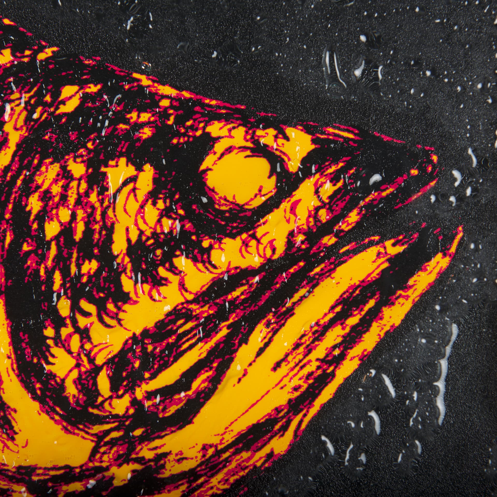 Largemouth Bass Orange by Mercana Studio a Hand Embellished Textured Framed Art Print — product photograph