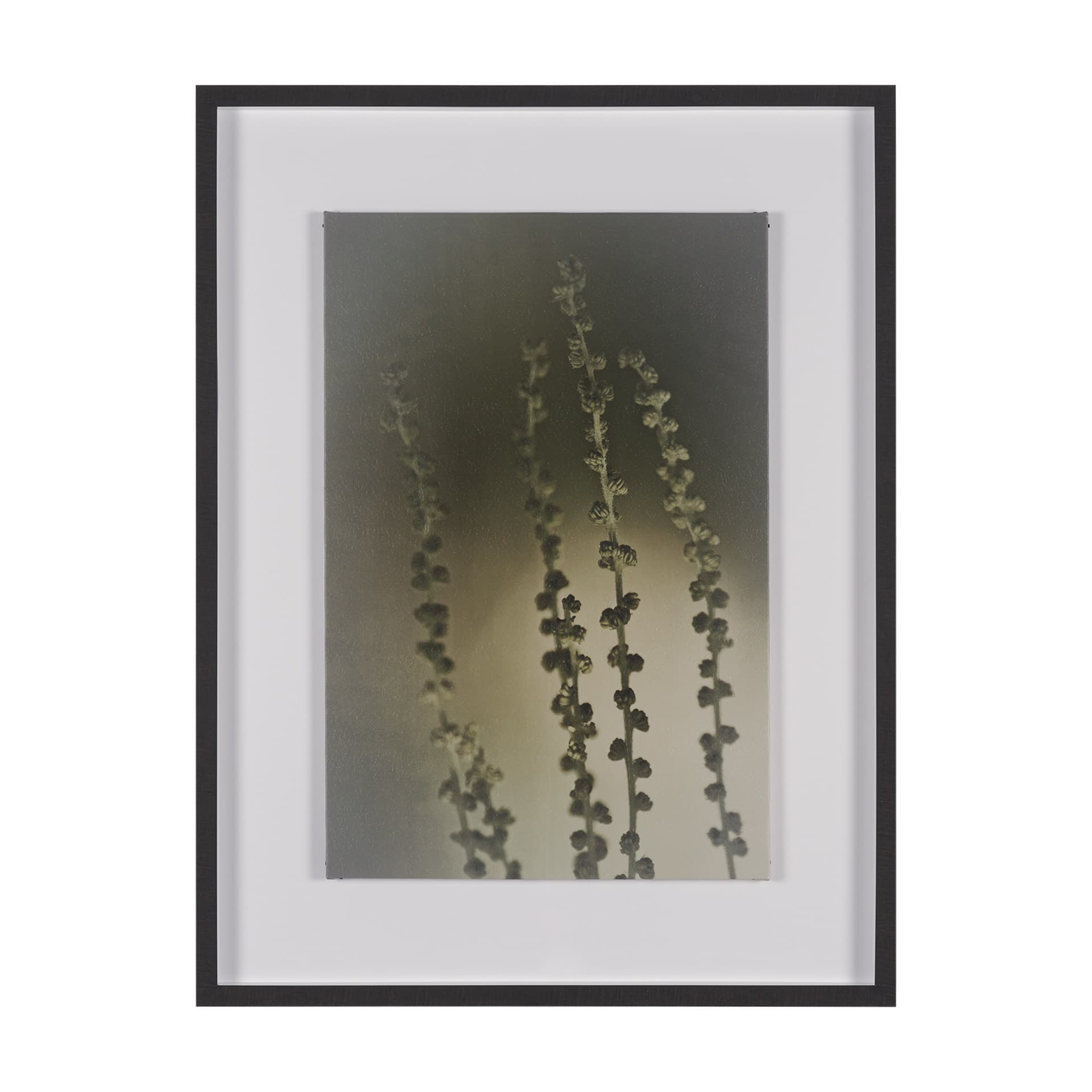 Hanging Delight by Michael Banks a Hand Embellished Framed Photo Art Print Matted under Glass — product photograph