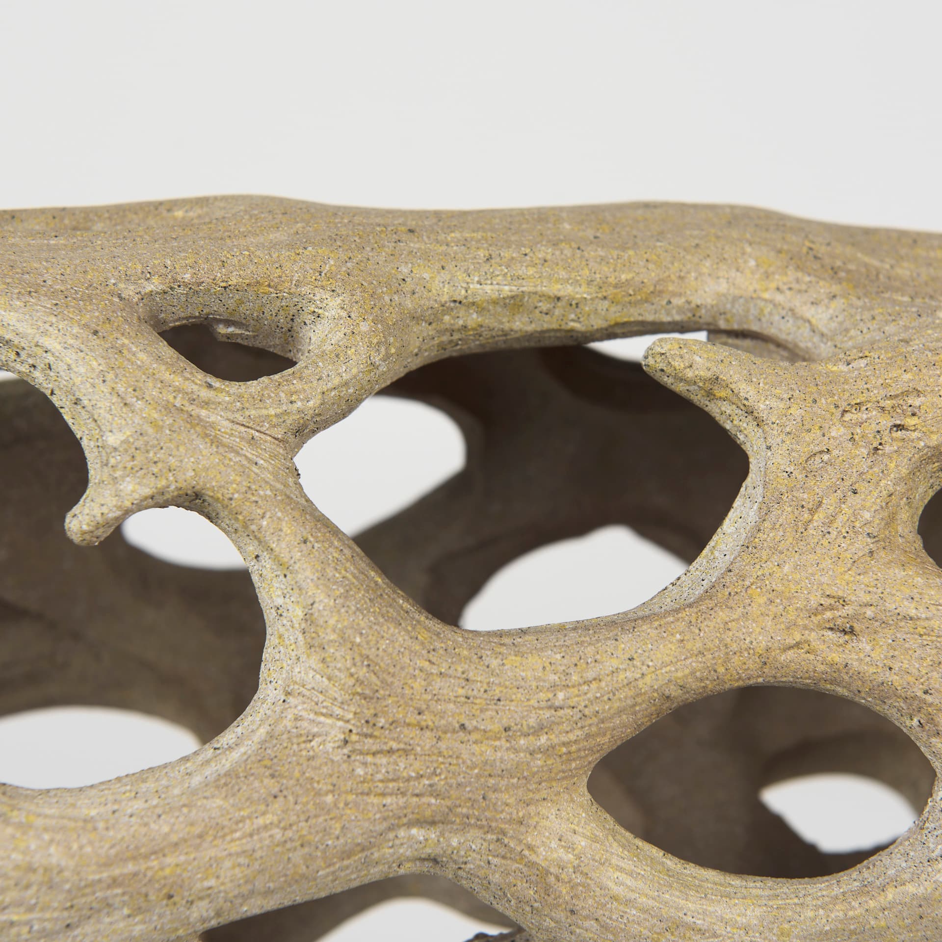 Dwell Cholla Wood Resin Decorative Object — product photograph