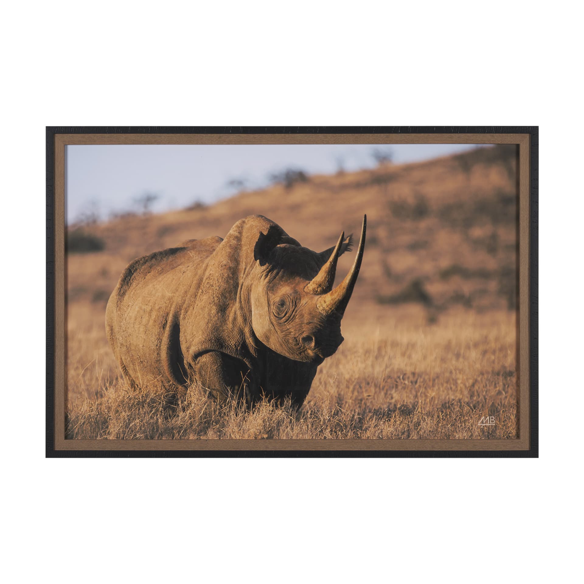 Kenyan Rhino by Max Blakesberg Studios a Hand Embellished Framed Photo Art Print Matted under Glass — product photograph
