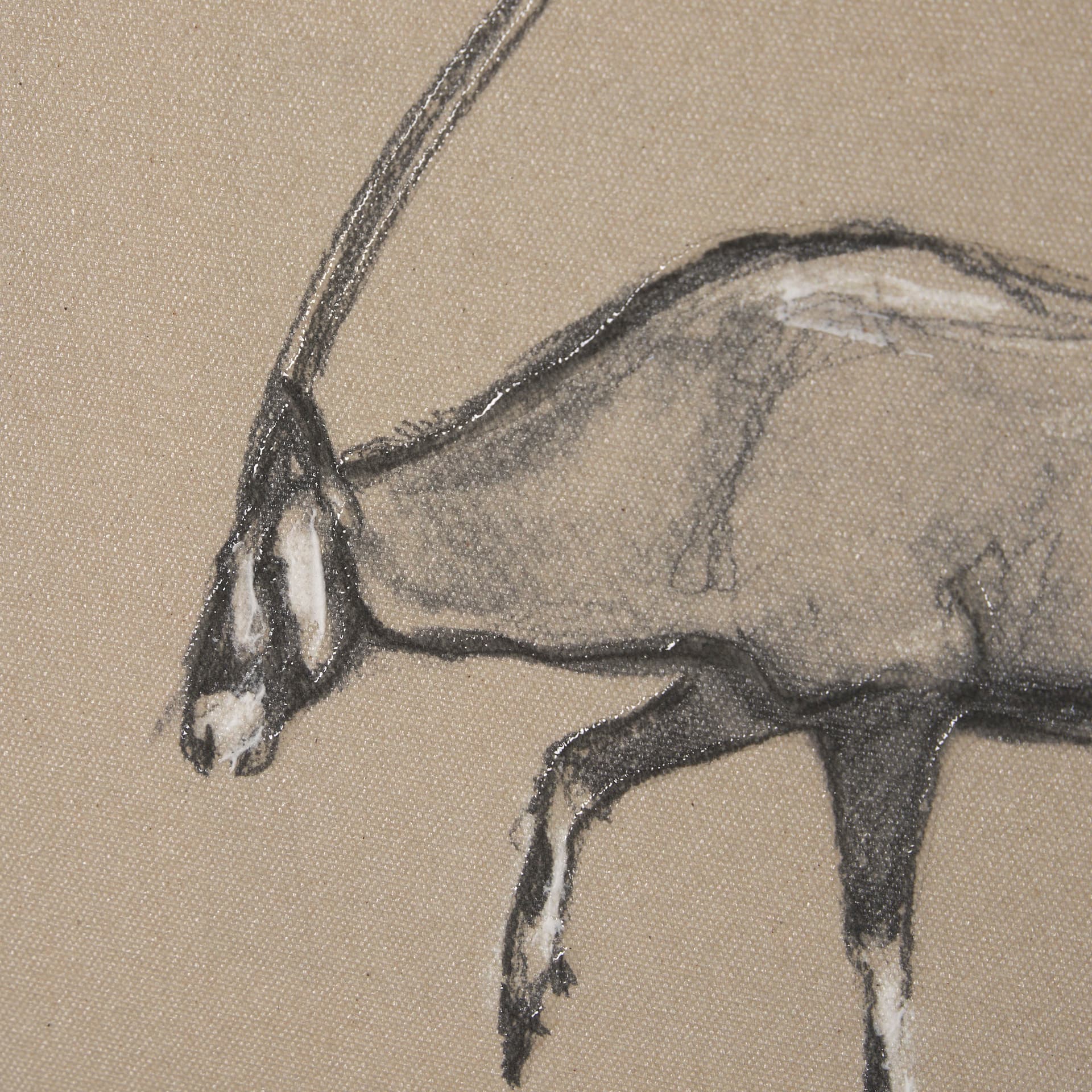 African Animal Study II by Mercana Studio a Hand Embellished Framed Art Print — product photograph