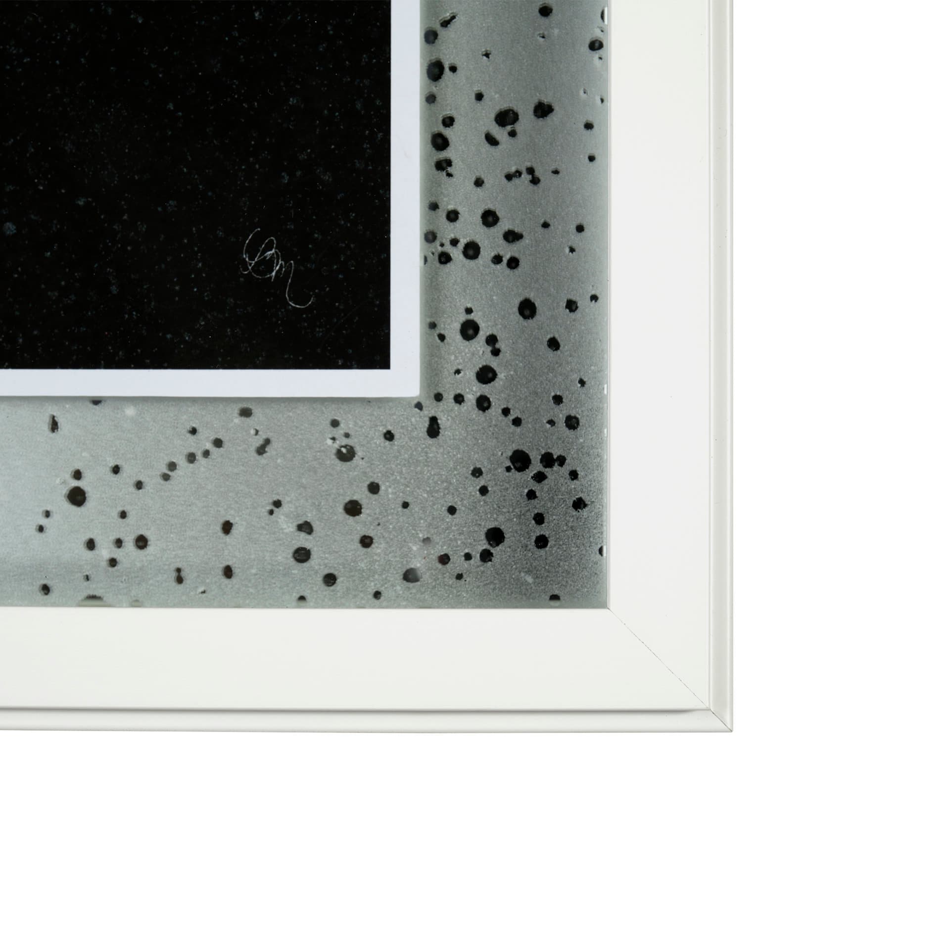 Flora II by Mercana Studio a Hand Embellished Textured Framed Art Print Matted under Glass — product photograph