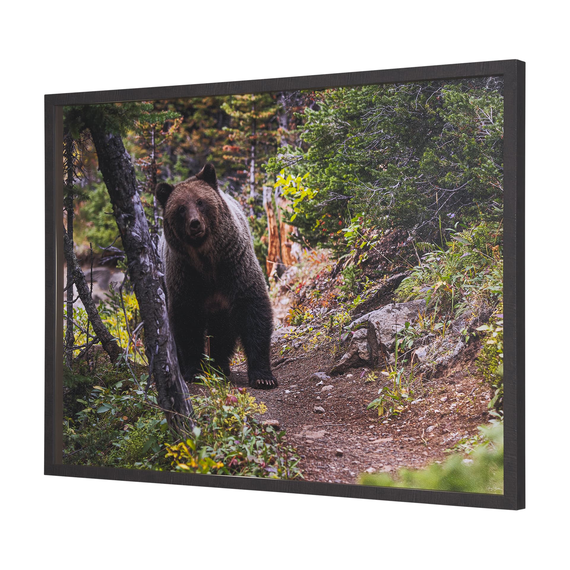 Coming Round the Bend by Gary Blatter Hand Embellished Textured Framed Photo Art Print Matted under — product photograph