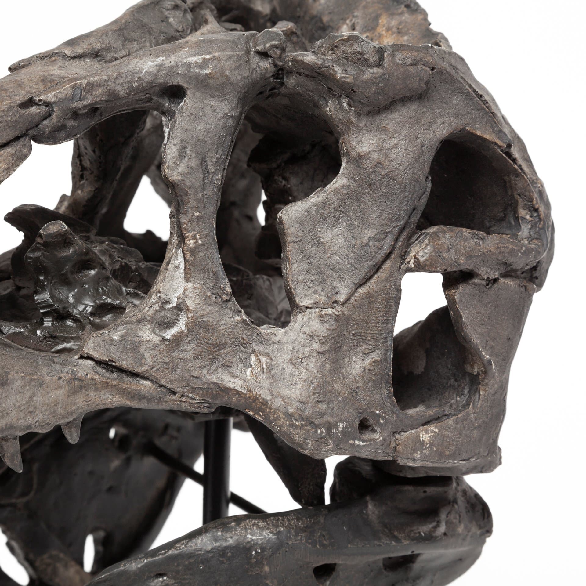 Jurassic 6L x 10W Brown Resin Tyrannosaurus Skull Replica — product photograph