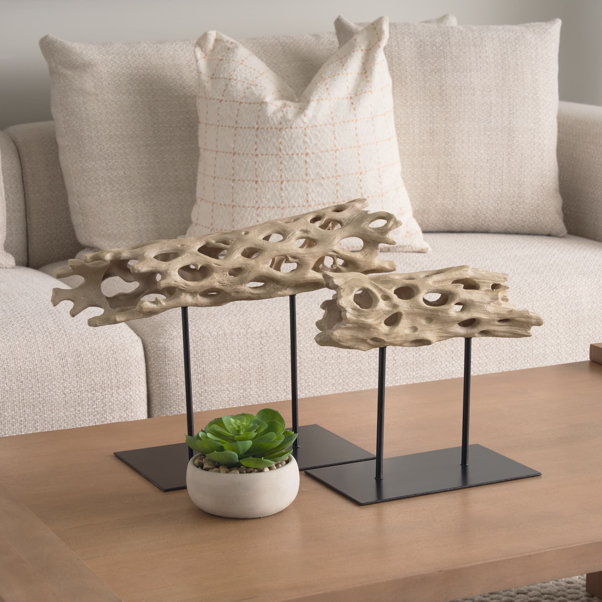 Dwell Cholla Wood Resin Decorative Object — product photograph