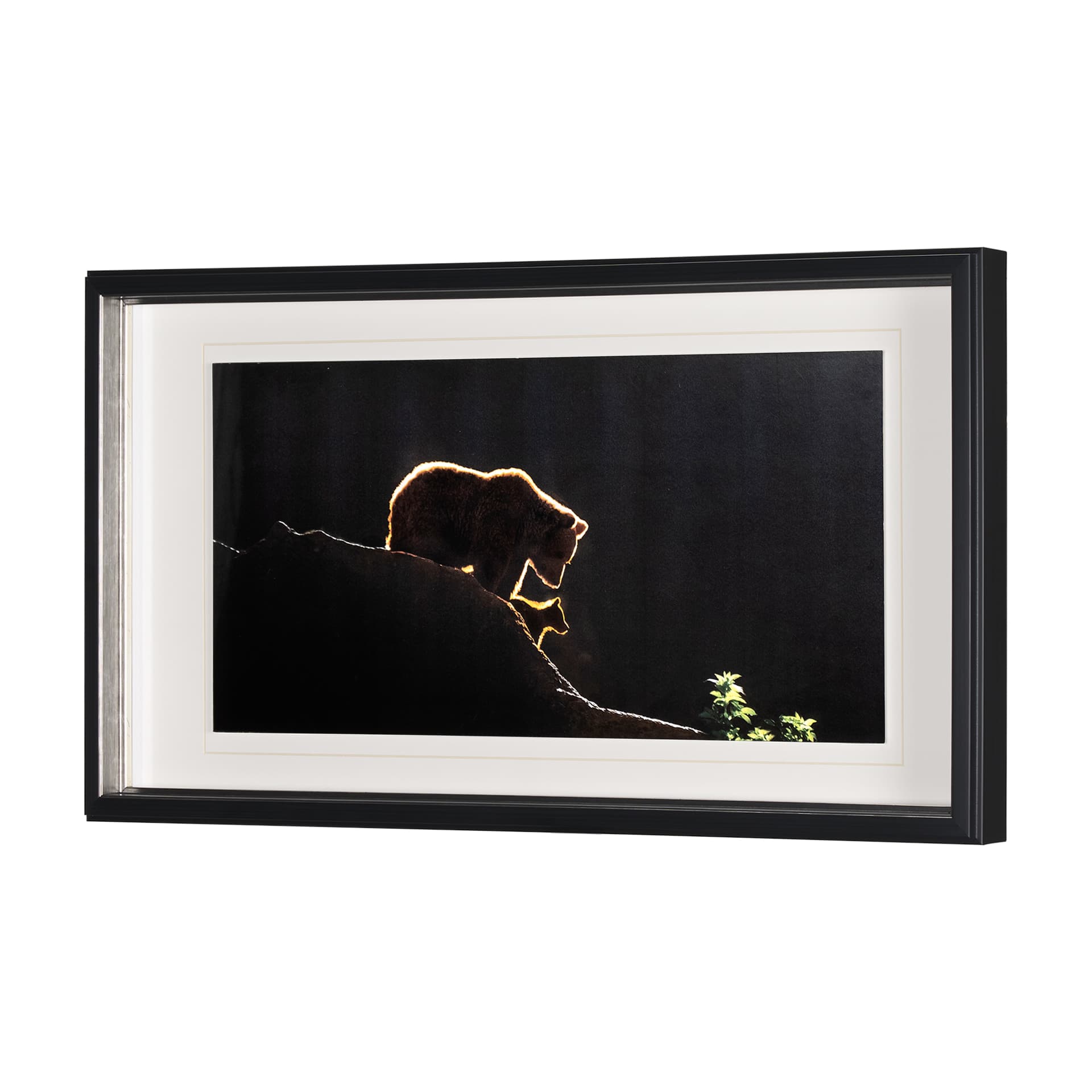 Protection by Xavier Ortega a Framed Photo Art Print Matted under Glass — product photograph