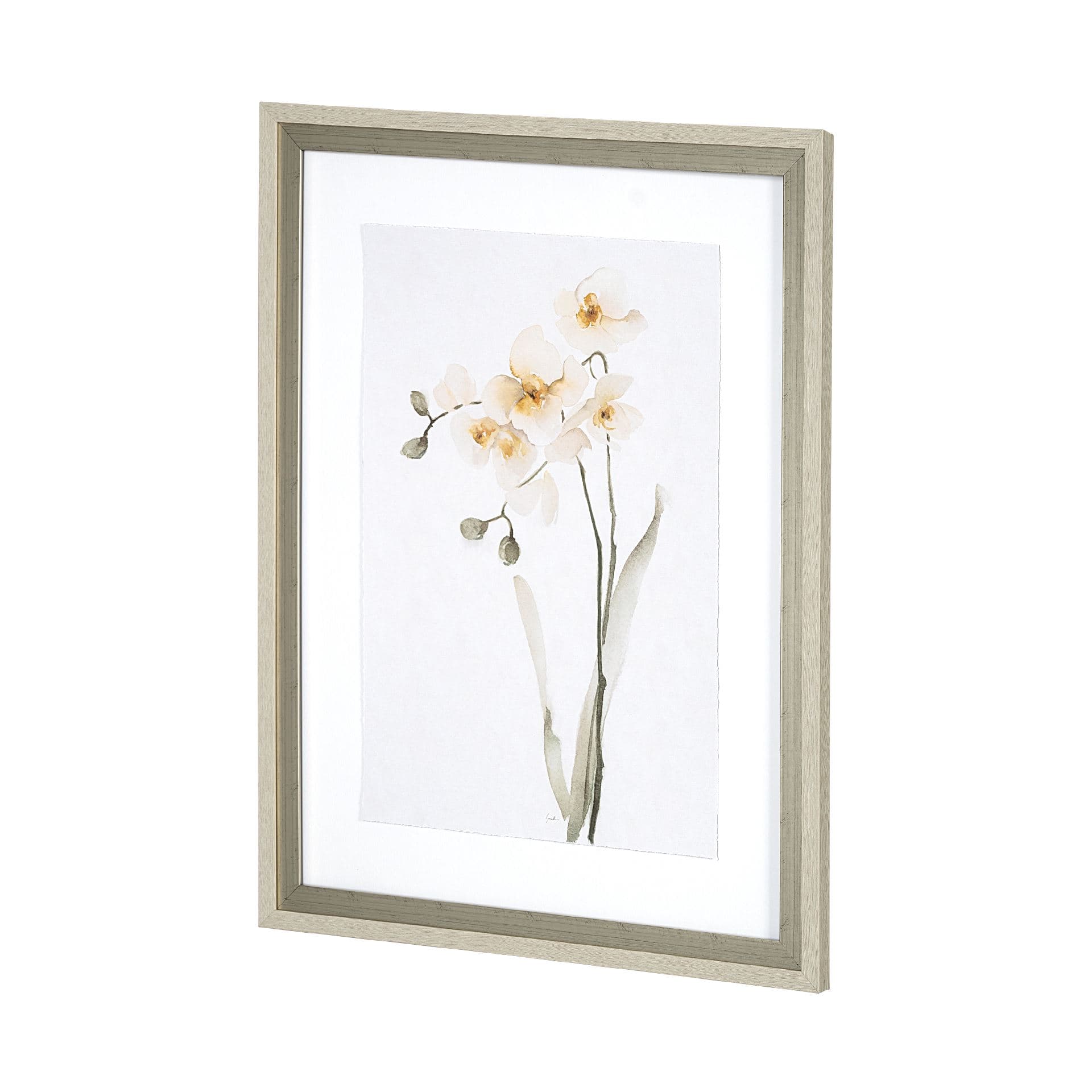 Orchid II by Gabrielle Campbell a Framed Art Print Matted under Glass — product photograph