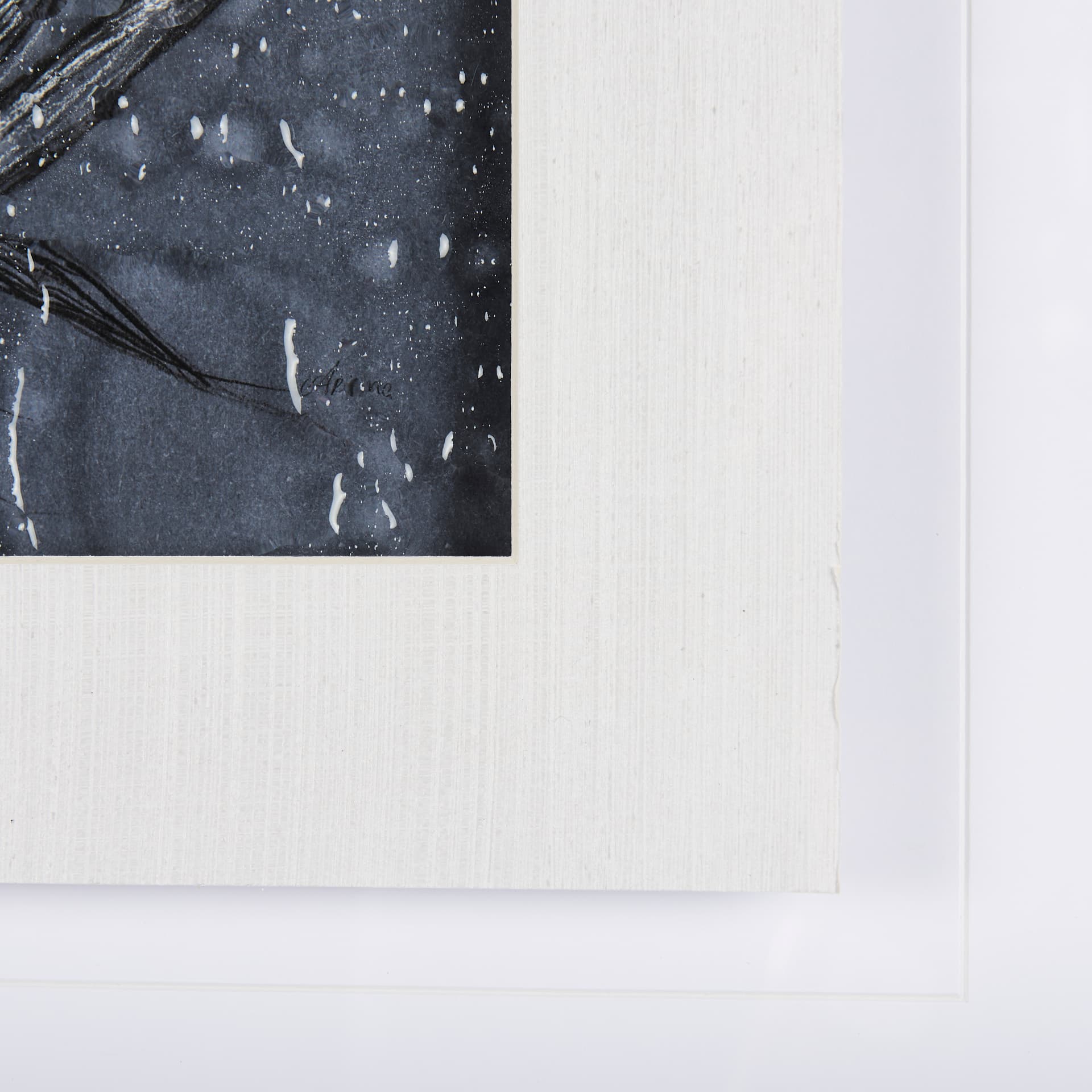 Botanical sketches IV (Blue) by Mercana Studio Hand Embellished Framed Art Print Matted under Glass — product photograph