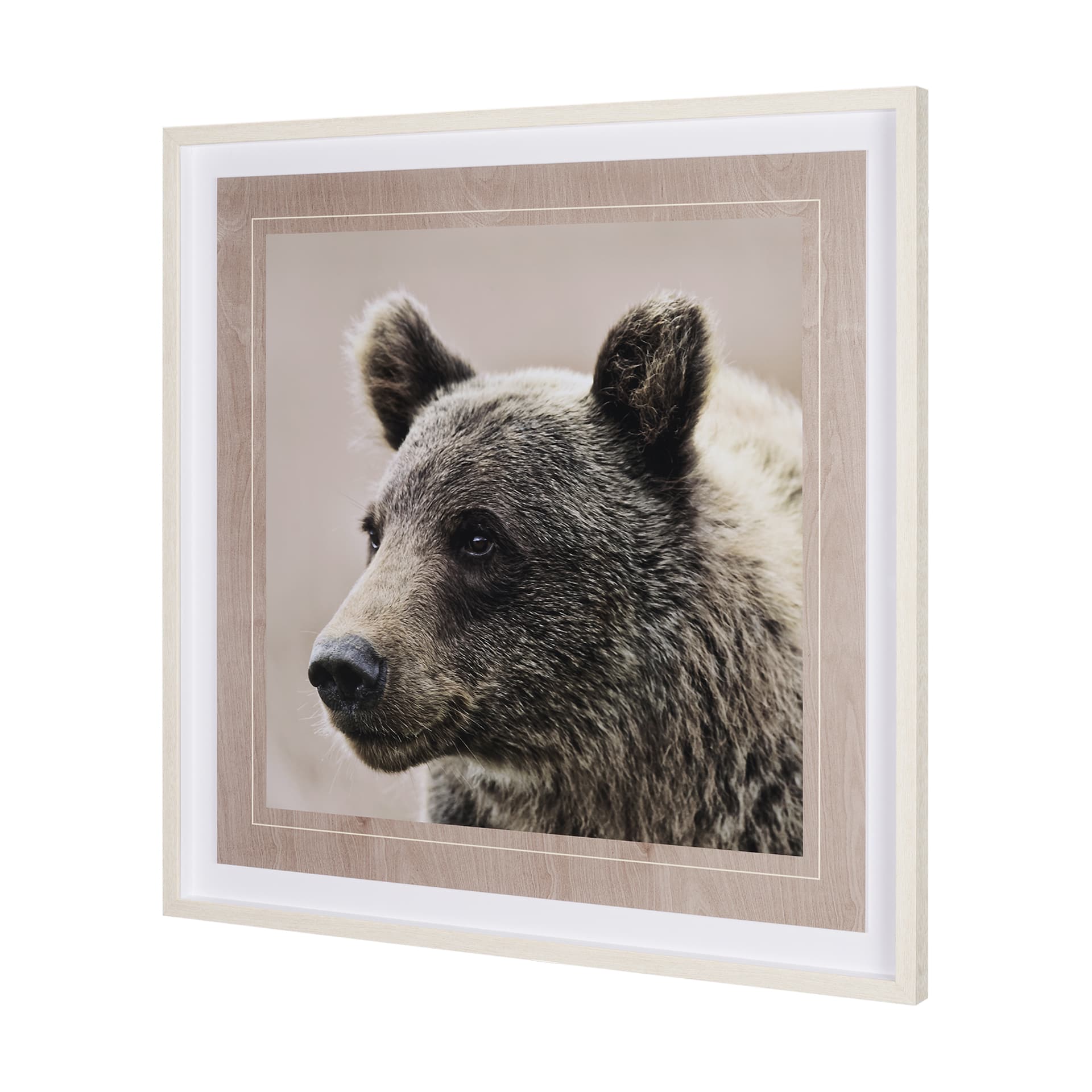 Bear Focus - Hush by Wink Gaines a Hand Embelished Textured Framed Art Photo Matted under Glass — product photograph