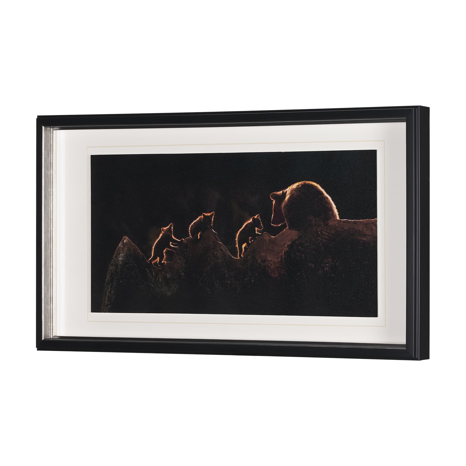Triplets by Xavier Ortega a Framed Photo Art Print Matted under Glass — product photograph