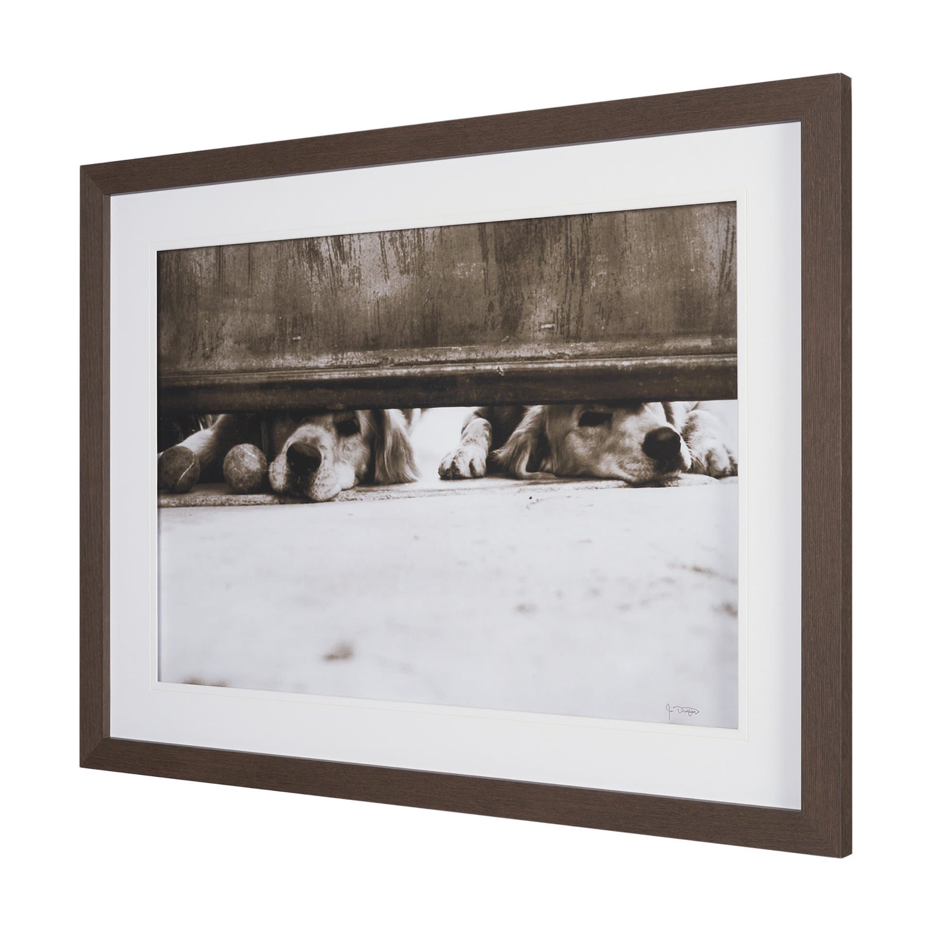 We See You Dogs by Jim Dratfield Framed Photo Print under Glass — product photograph