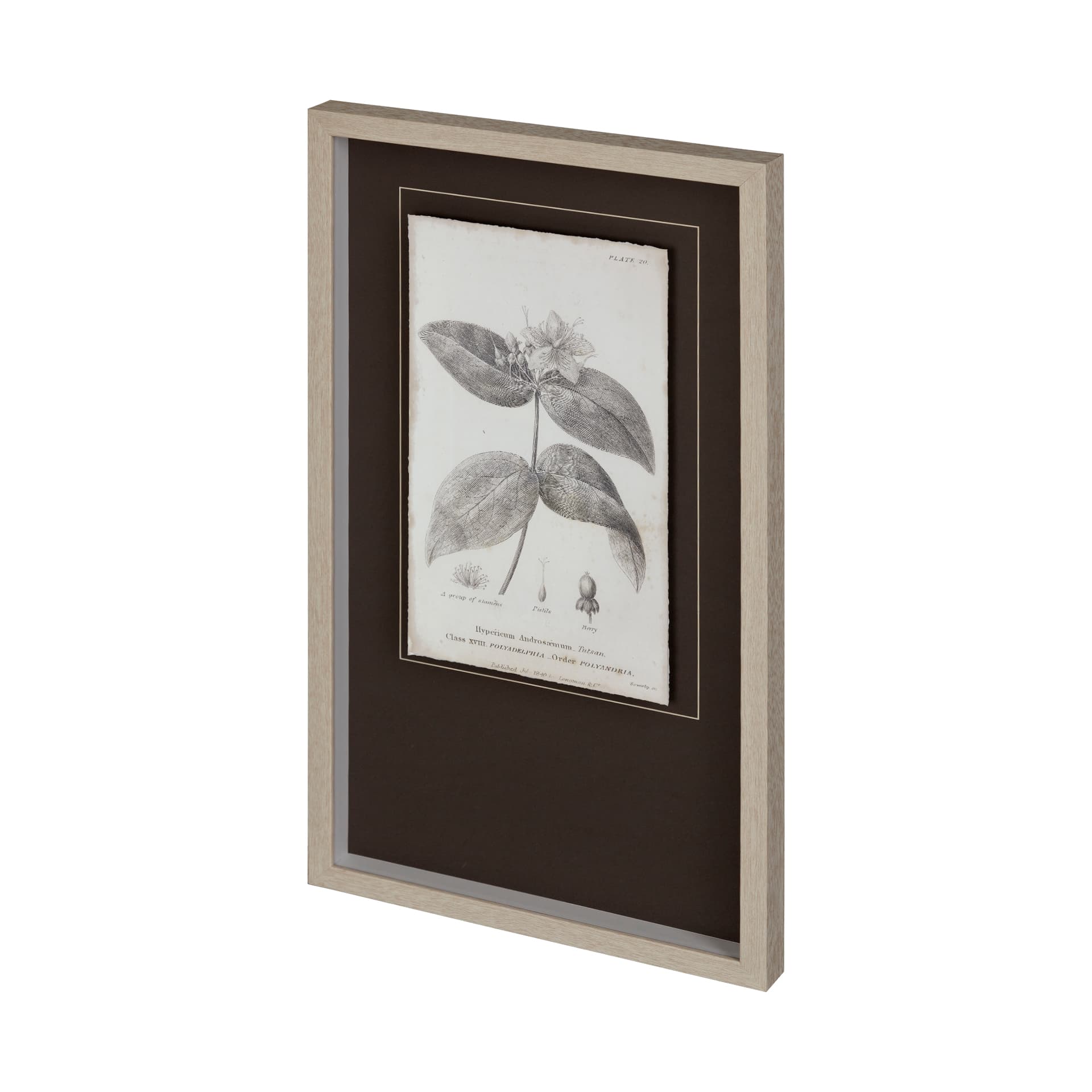Conversations on Botany VIII by Mercana Studio Hand Embellished Framed Art Print Matted under Glass — product photograph