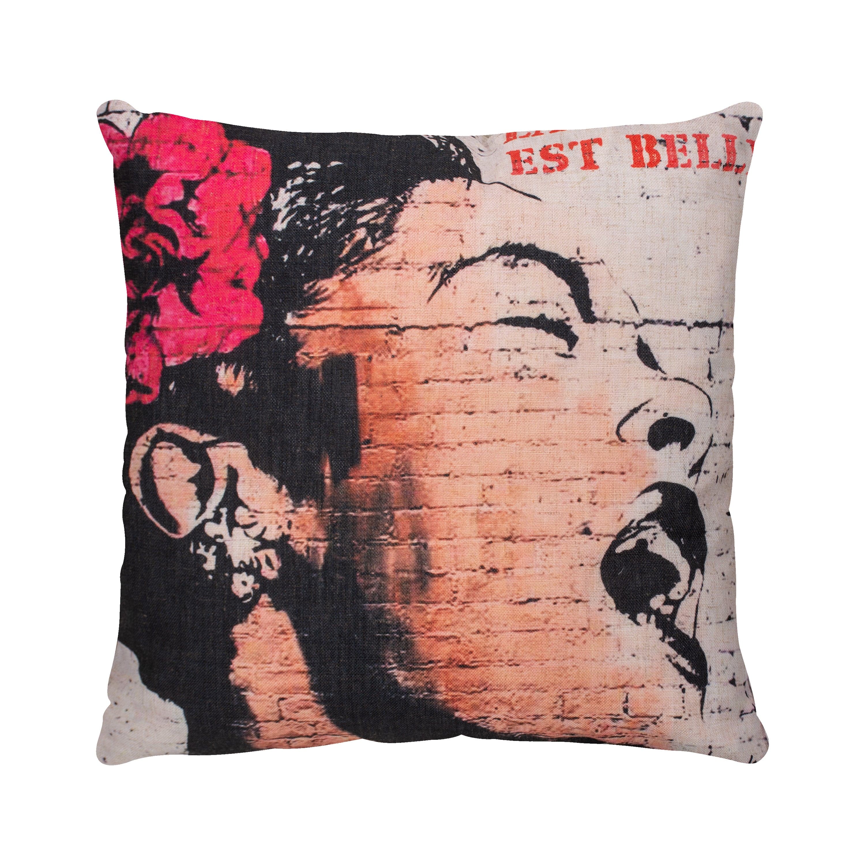 Shia — product photograph
