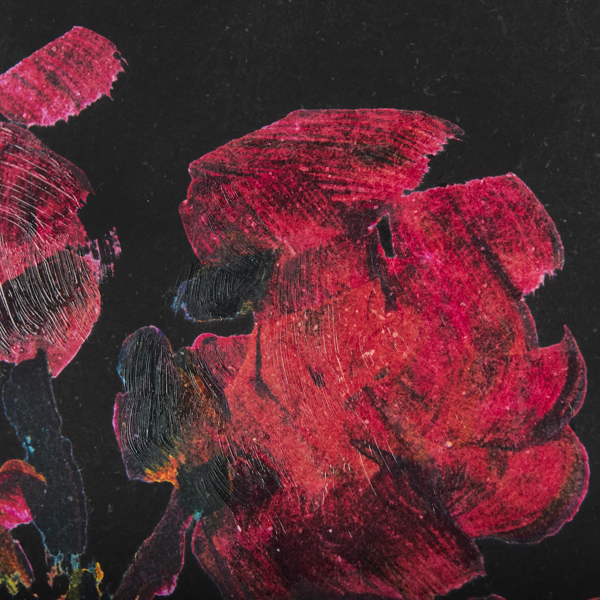 Midnight Flower I by Mercana Studio a Framed Art Print Matted under Glass — product photograph