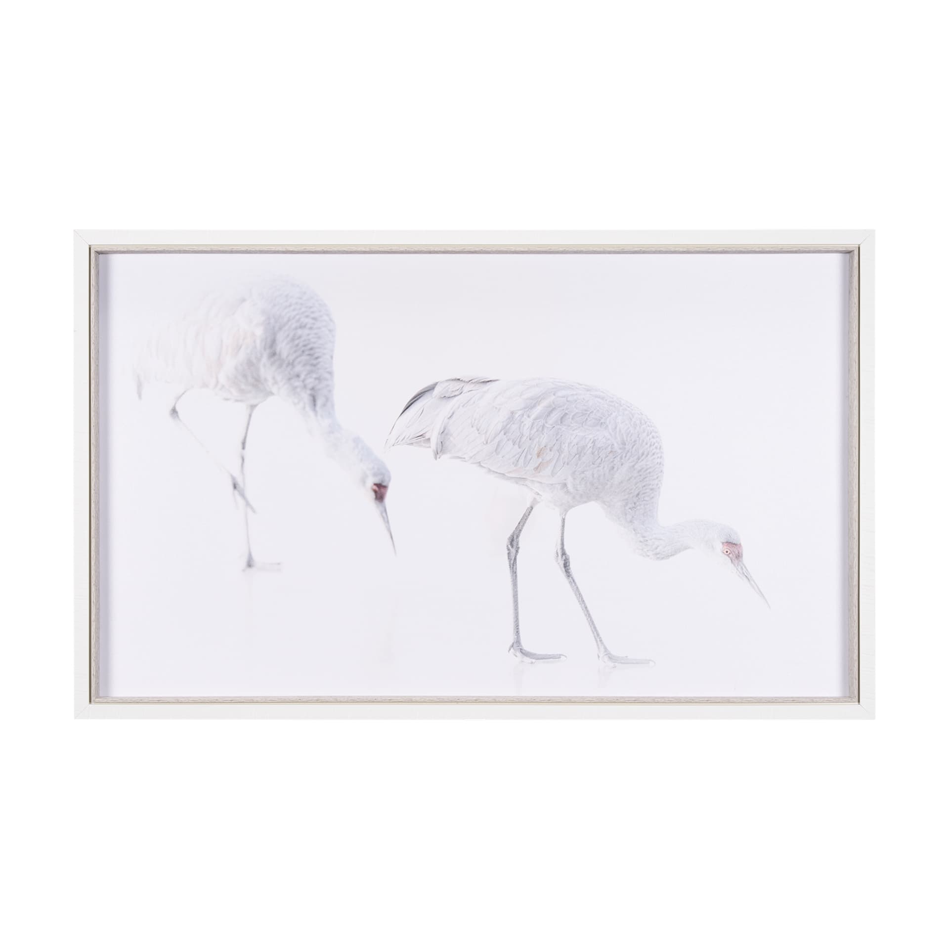 Sandhill Crane I by Chad Mckay a Hand Embelished Textured Framed Photo Art Print — product photograph