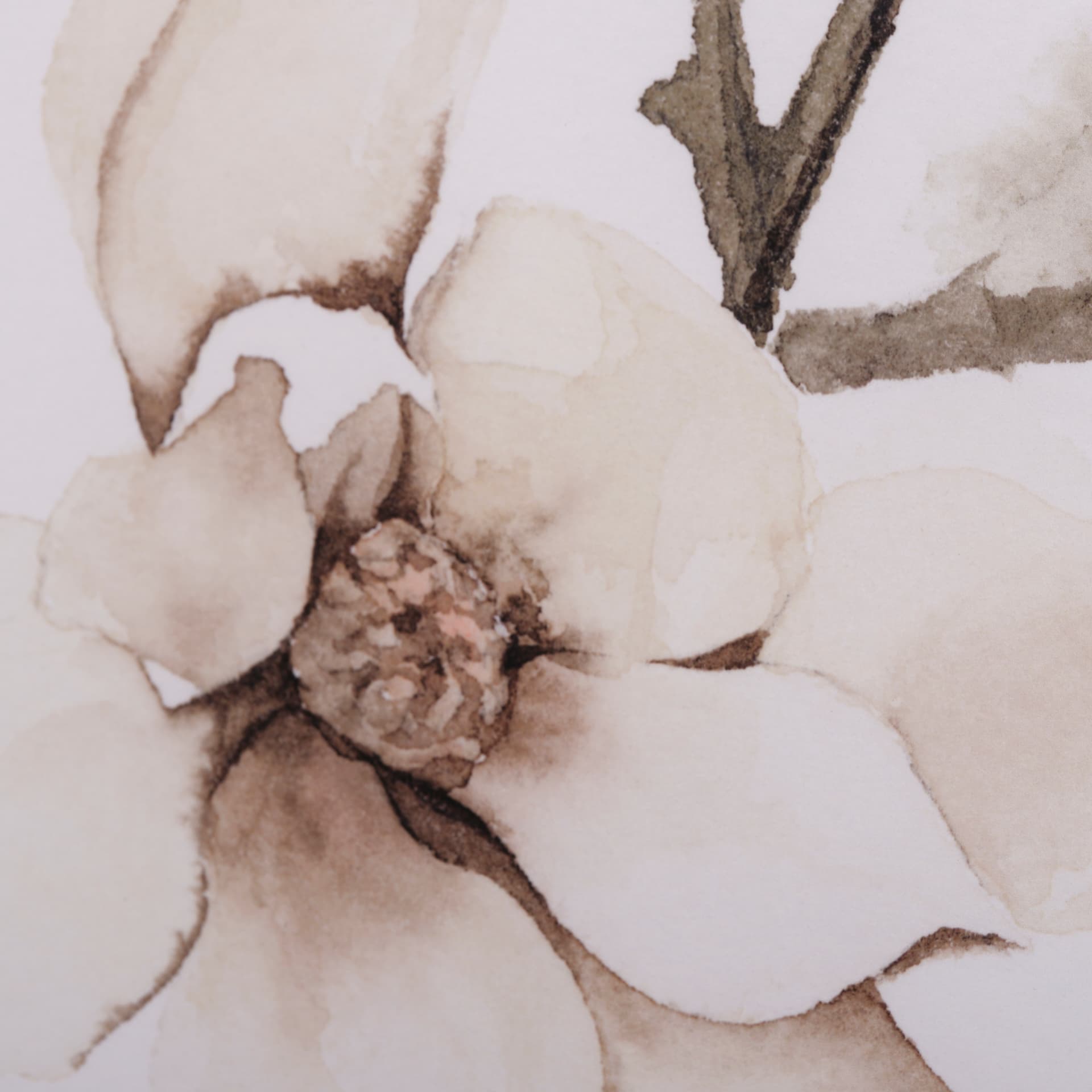 Magnolia III by Gabrielle C a Framed Art Print Matted under Glass — product photograph