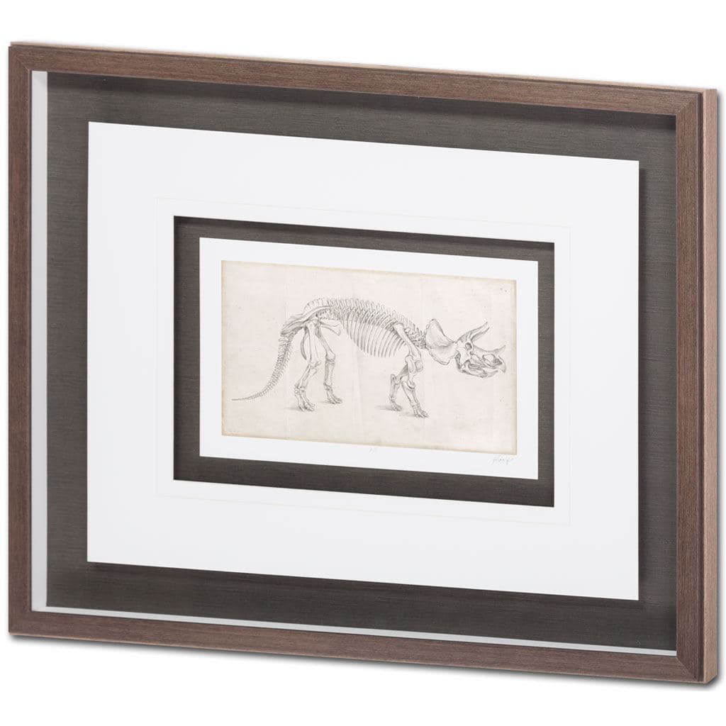 Custom Dinosaur Study II (MC) by Harper, Ethan a Framed Art Print Matted under Glass — product photograph