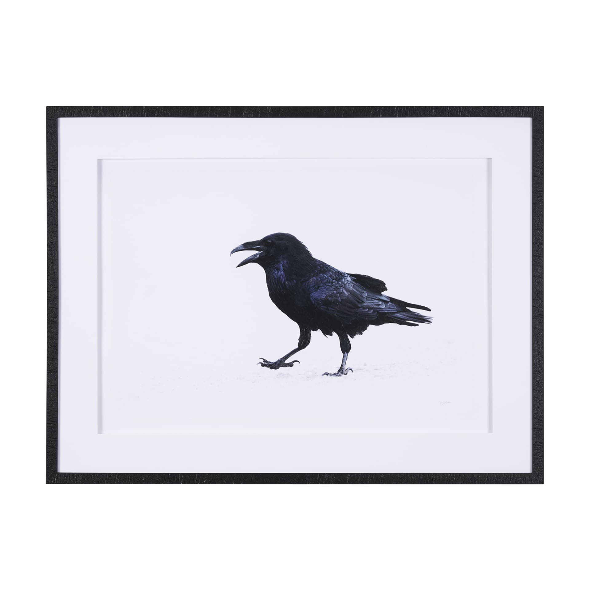 Raven Beauty by Gary Blatter a Hand Embellished Textured Framed Photo Art Print Matted under Glass — product photograph