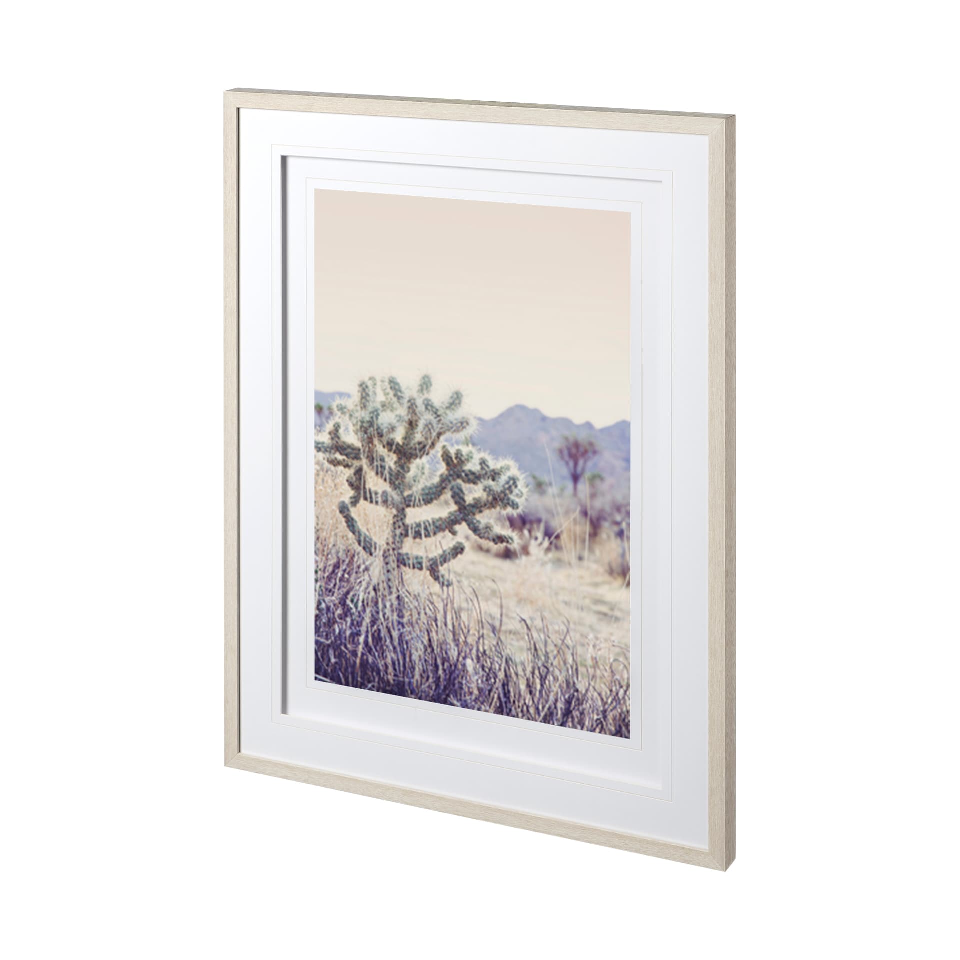 Arid Rose by Irene Suchocki a Hand Embellished Textured Framed Art Photograph Matted under Glass — product photograph