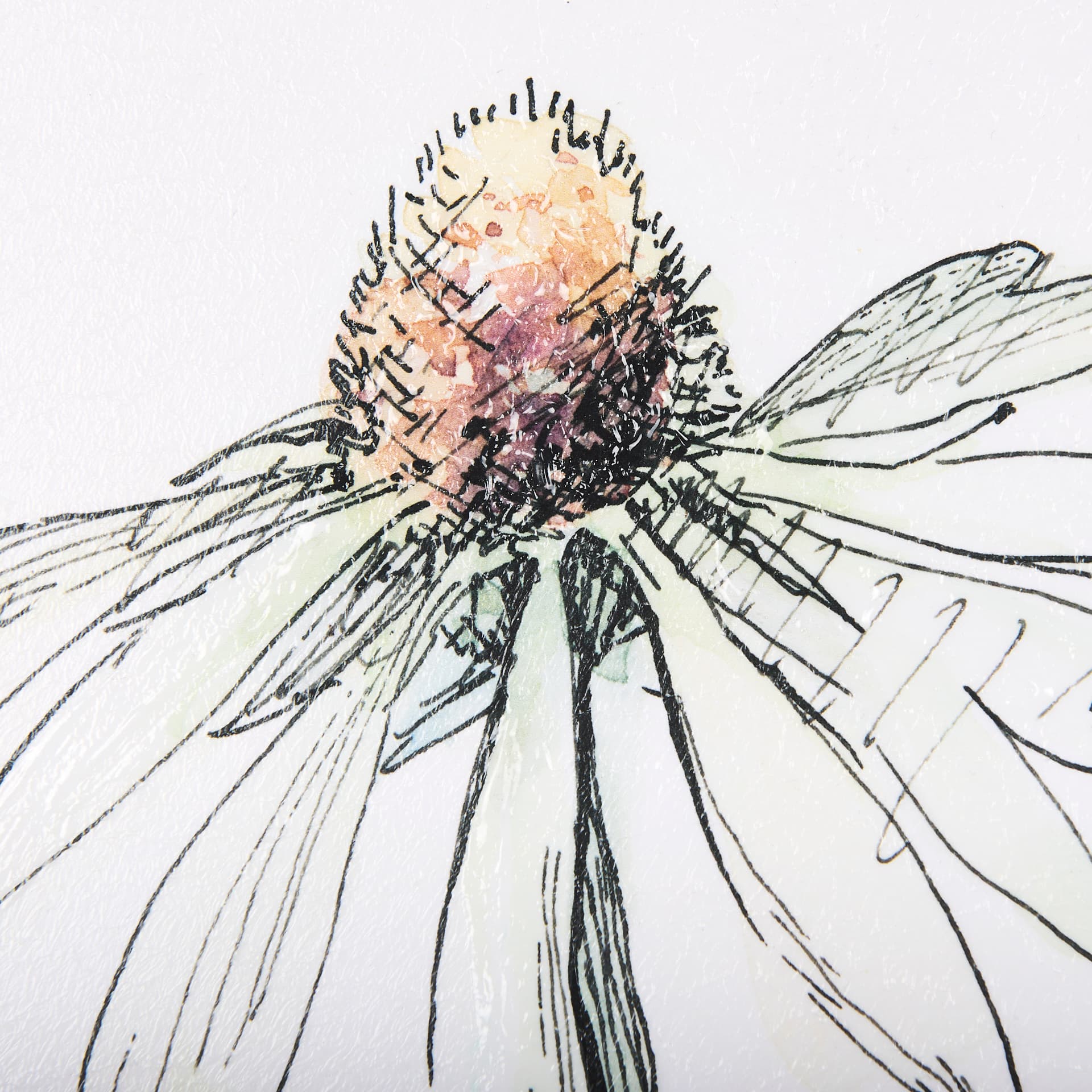 Echinacea I by Mercana Studio a Hand Embellished Textured Framed Art Print — product photograph